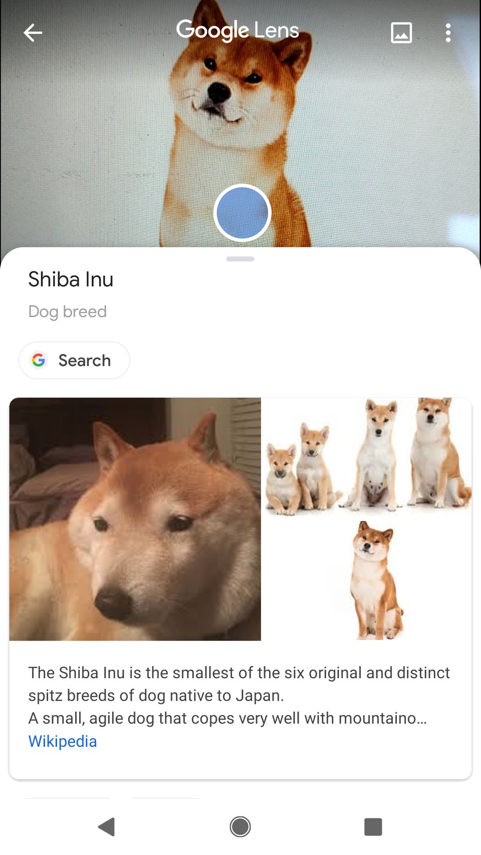 نصائح-و-حيل-كيفية-استخدام-مساعد-جوجل-وتخصيصه-على-هاتفك