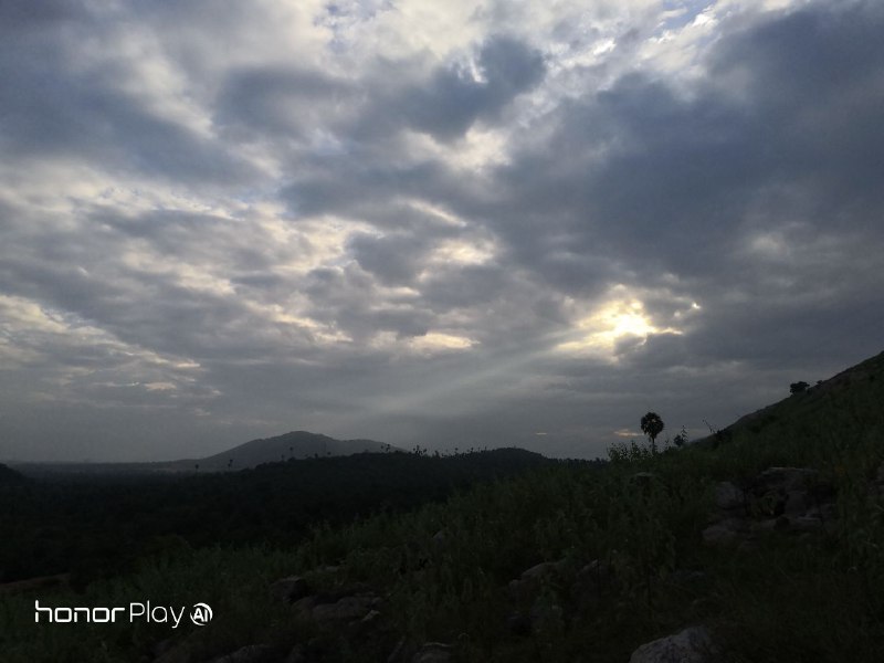 يوم-مع-كاميرا-هونر-بلاي