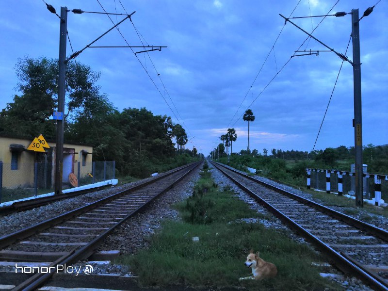 يوم-مع-كاميرا-هونر-بلاي