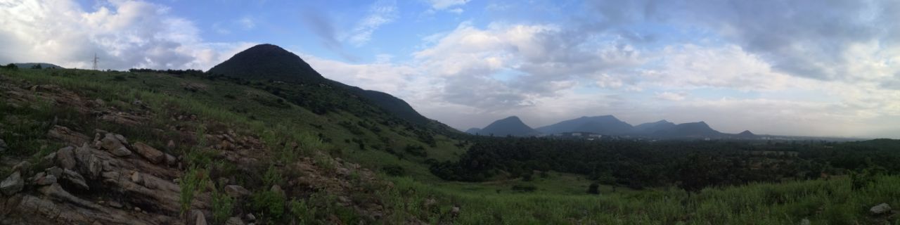 يوم-مع-كاميرا-هونر-بلاي