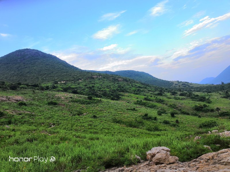 يوم-مع-كاميرا-هونر-بلاي