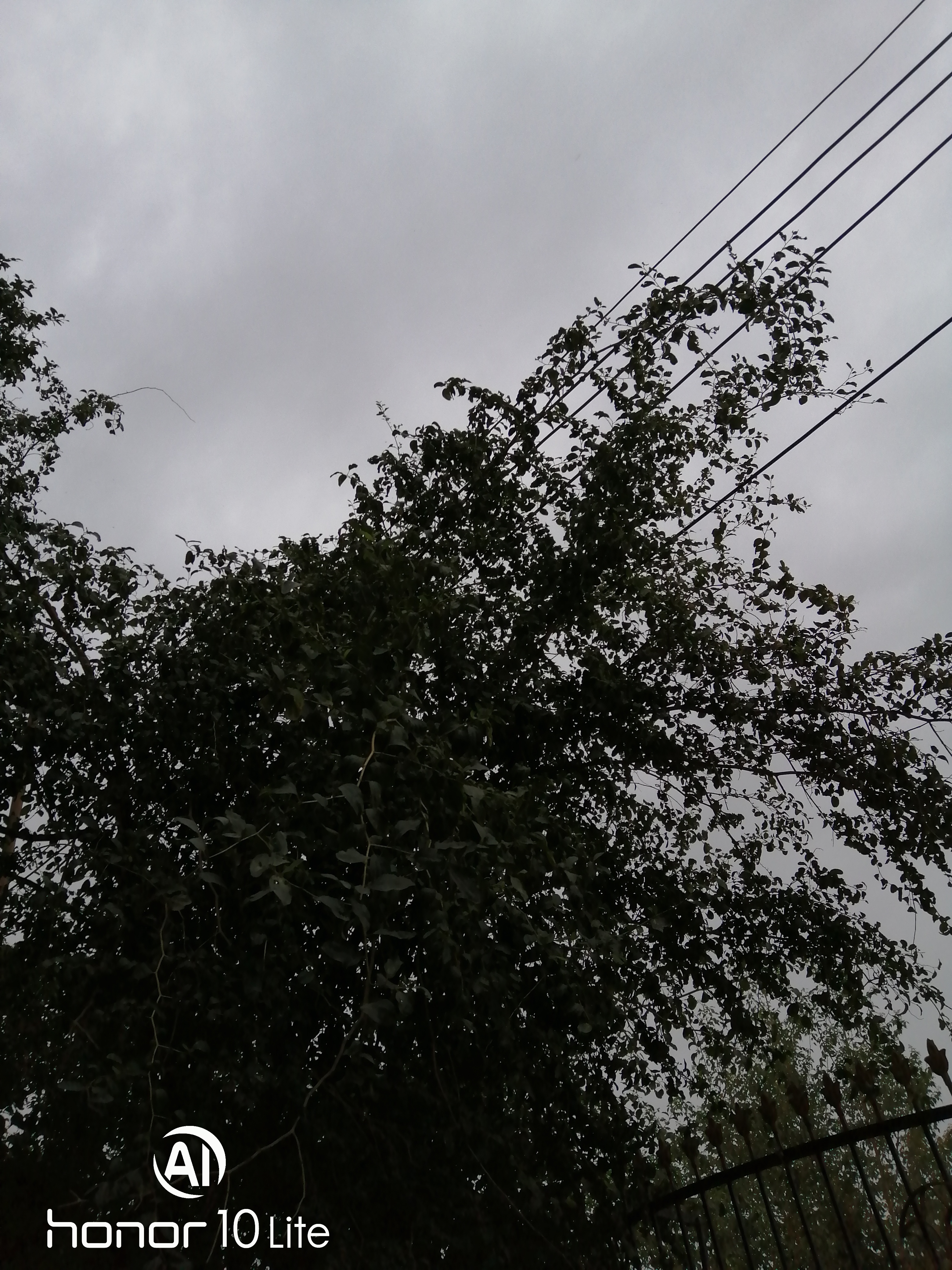 HONOR-10-Lite-المطر-هو-طقس-صعب-ولكن-بعيون-هونر-هو-لغة-ابداع-التصوير