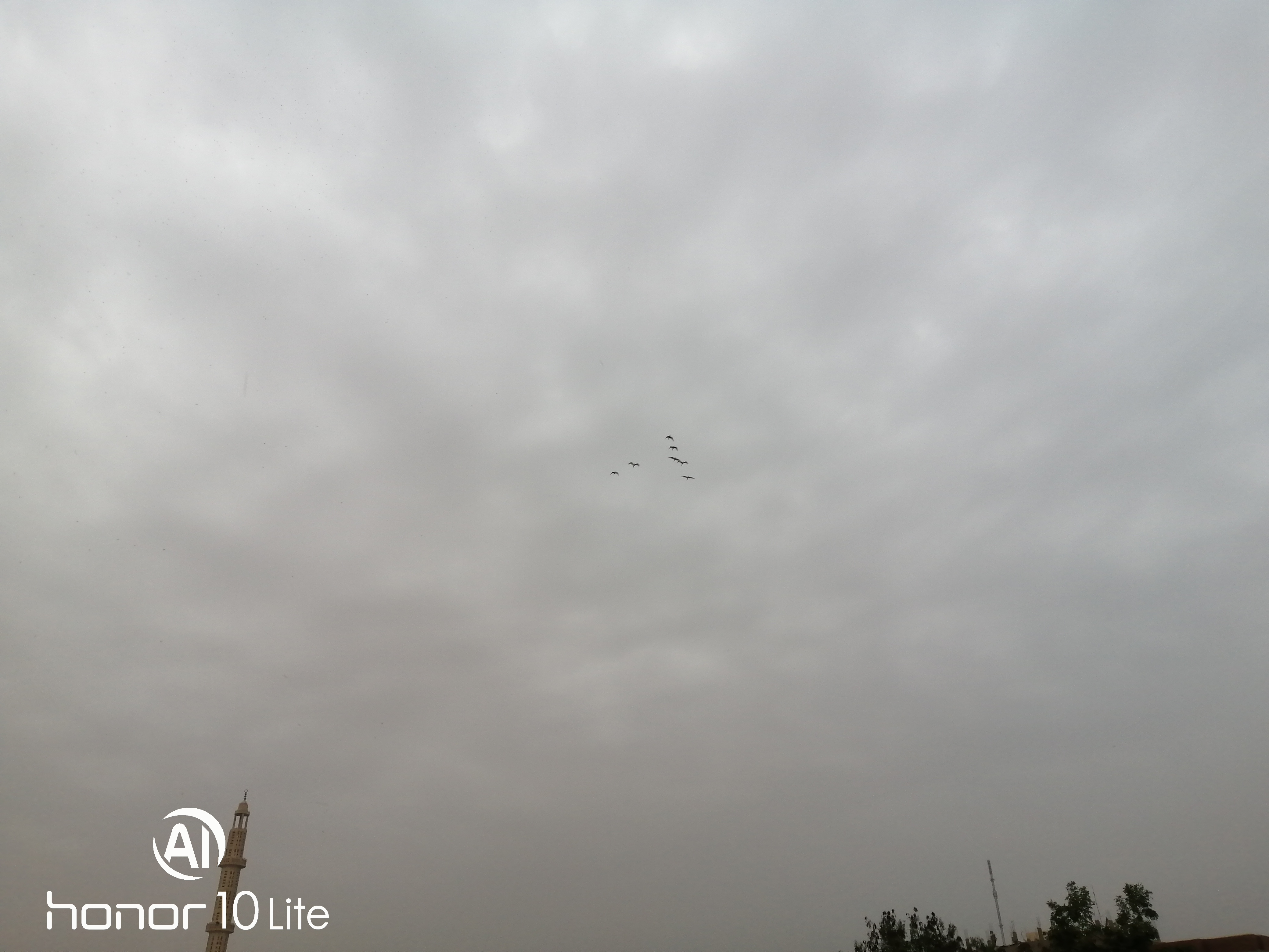 HONOR-10-Lite-المطر-هو-طقس-صعب-ولكن-بعيون-هونر-هو-لغة-ابداع-التصوير