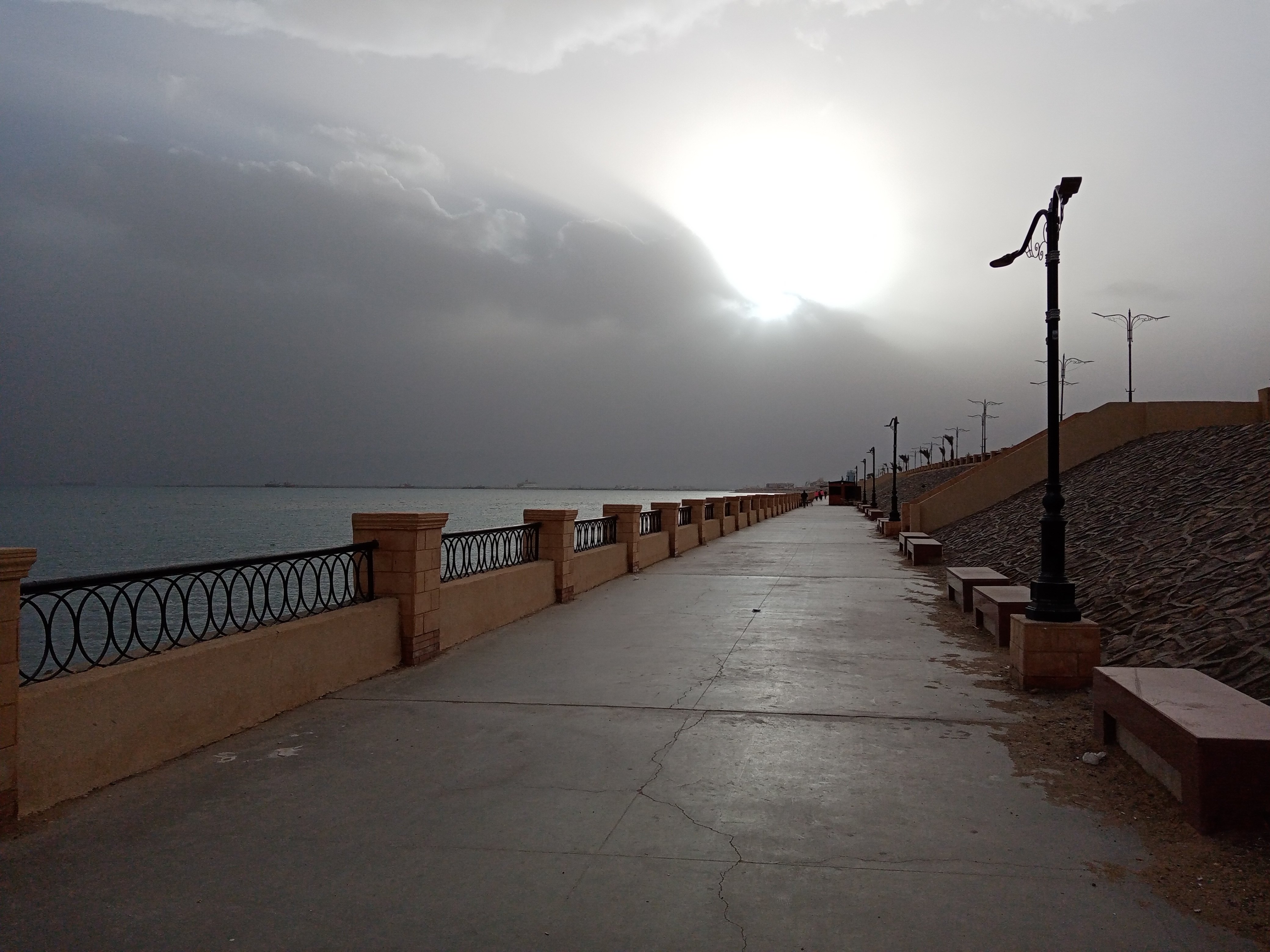 pفانز-هونر-فى-مصر-والوطن-العربي-أجمع-رجنالكم-من-تانى-والمرة-دى-هنتكلم