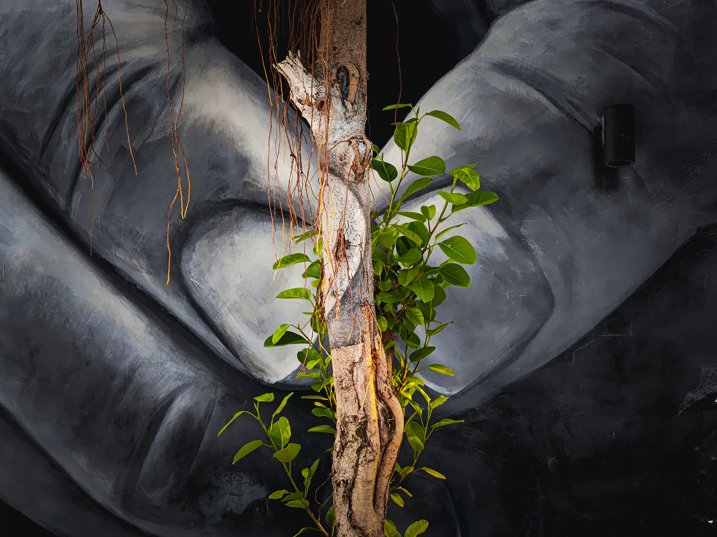 pspan-stylefont-size18pxOn-October-26-the-emstrongHONOR-Mobile-Imaging