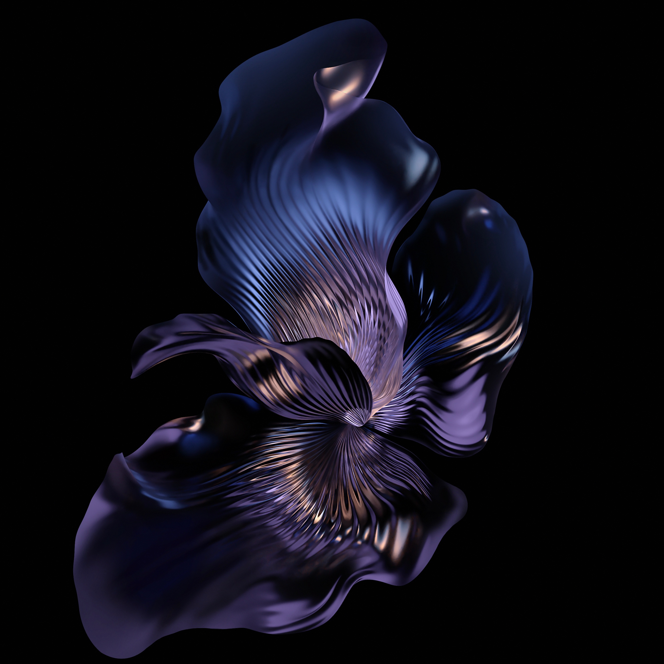 pAlso-for-HONOR-70ppimg-srchttpsiforum