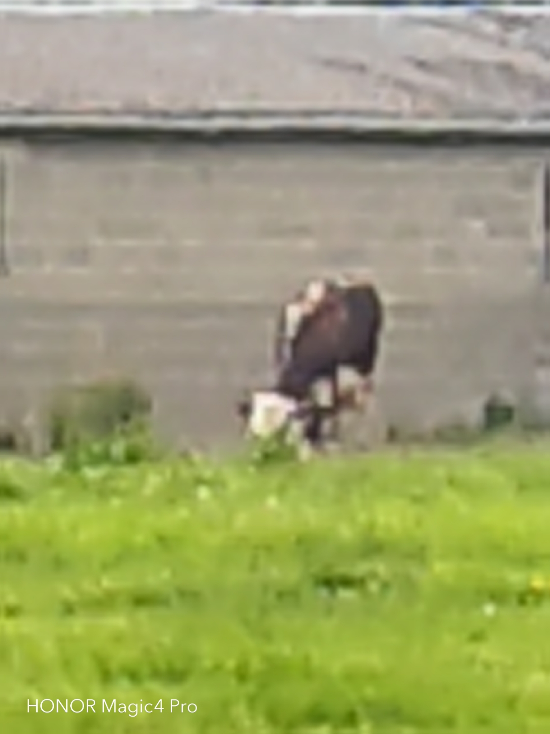 pHiHere-are-three-series-of-photos-in-normal-mode-then-zoom-X30-and