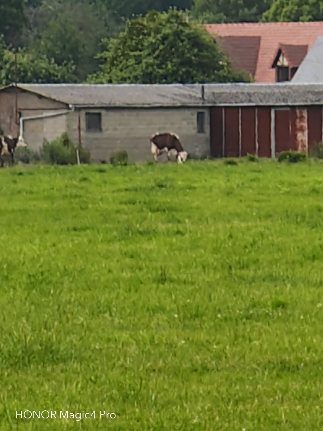 pHiHere-are-three-series-of-photos-in-normal-mode-then-zoom-X30-and