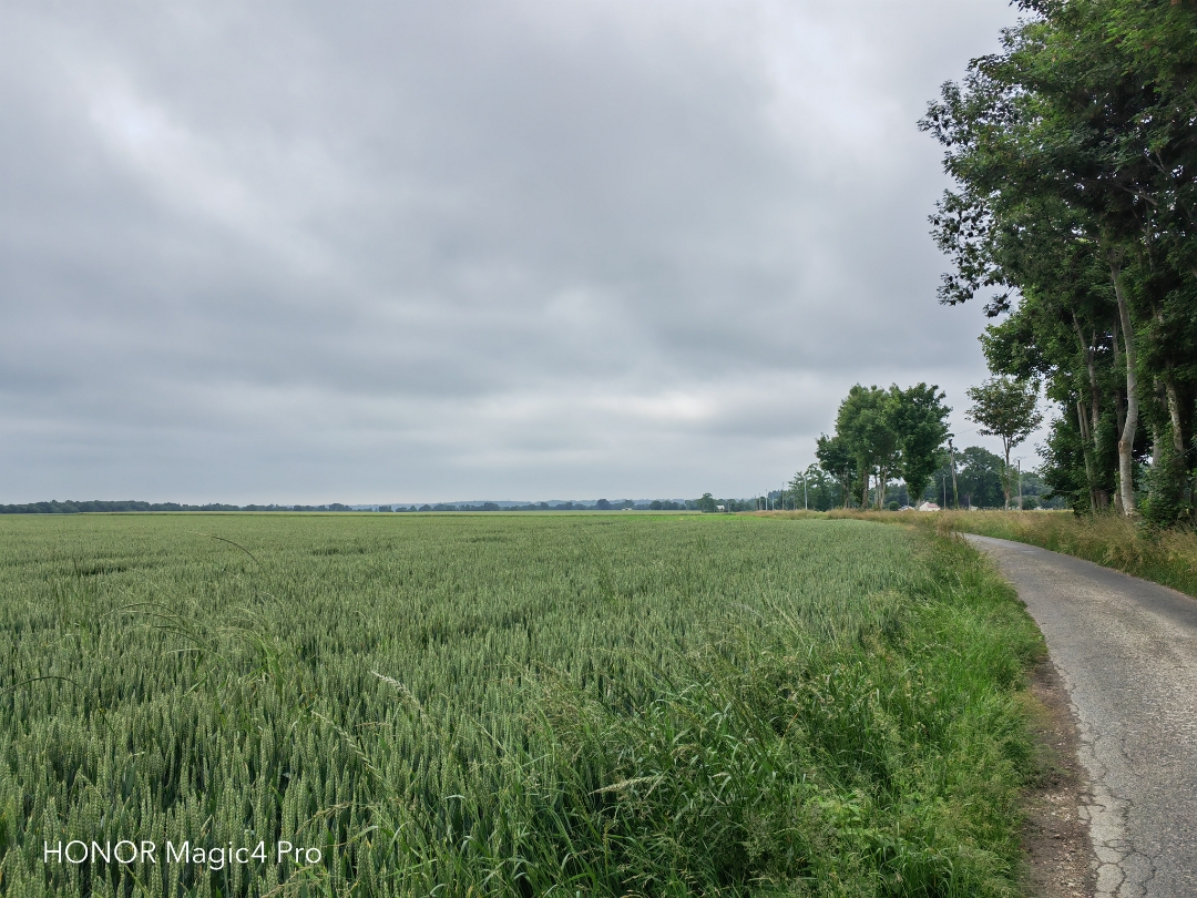 pHiHere-are-three-series-of-photos-in-normal-mode-then-zoom-X30-and