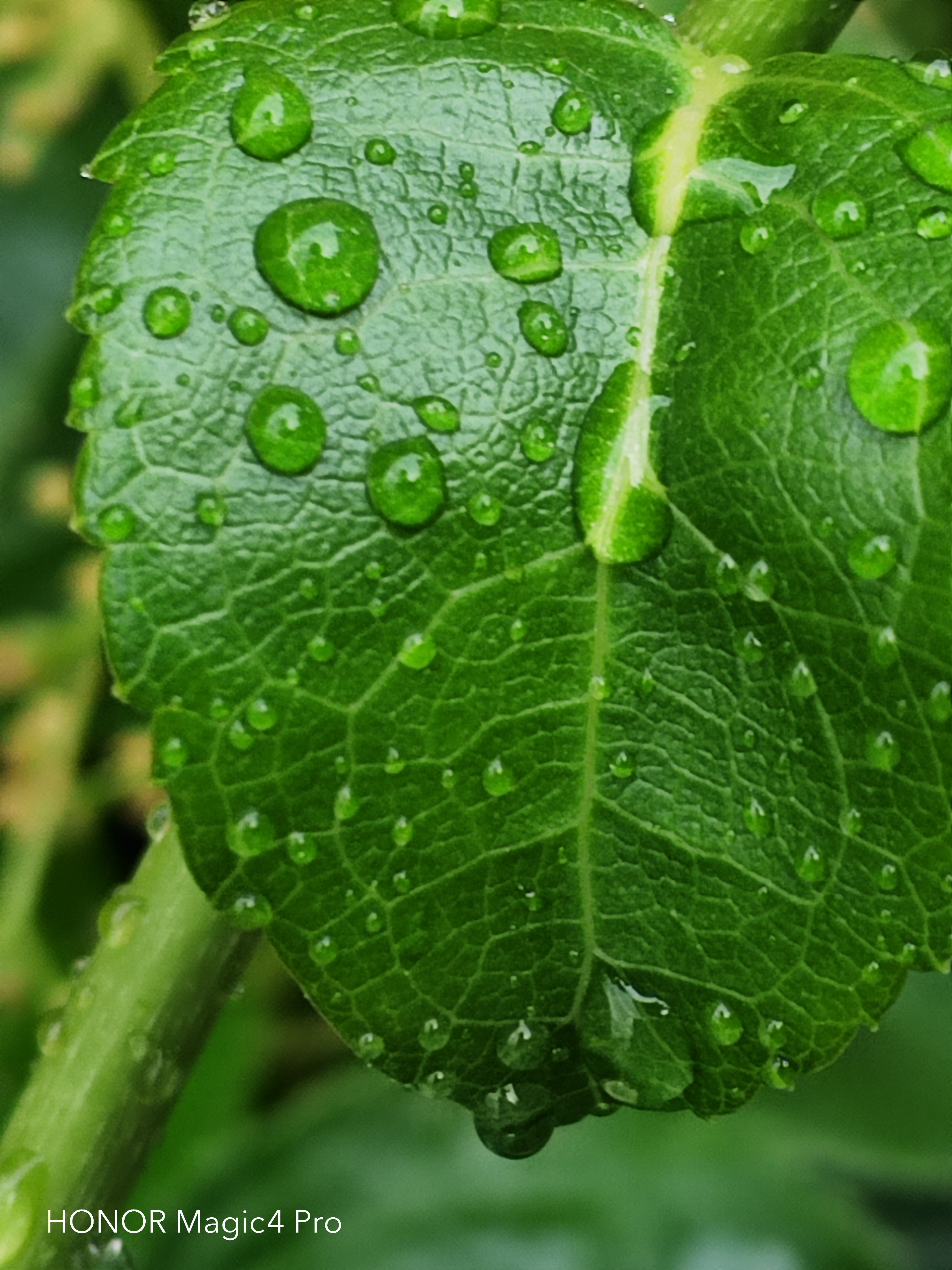 pspan-stylefont-size18pxHello-to-strongall-the-fansstrongbrbrLast