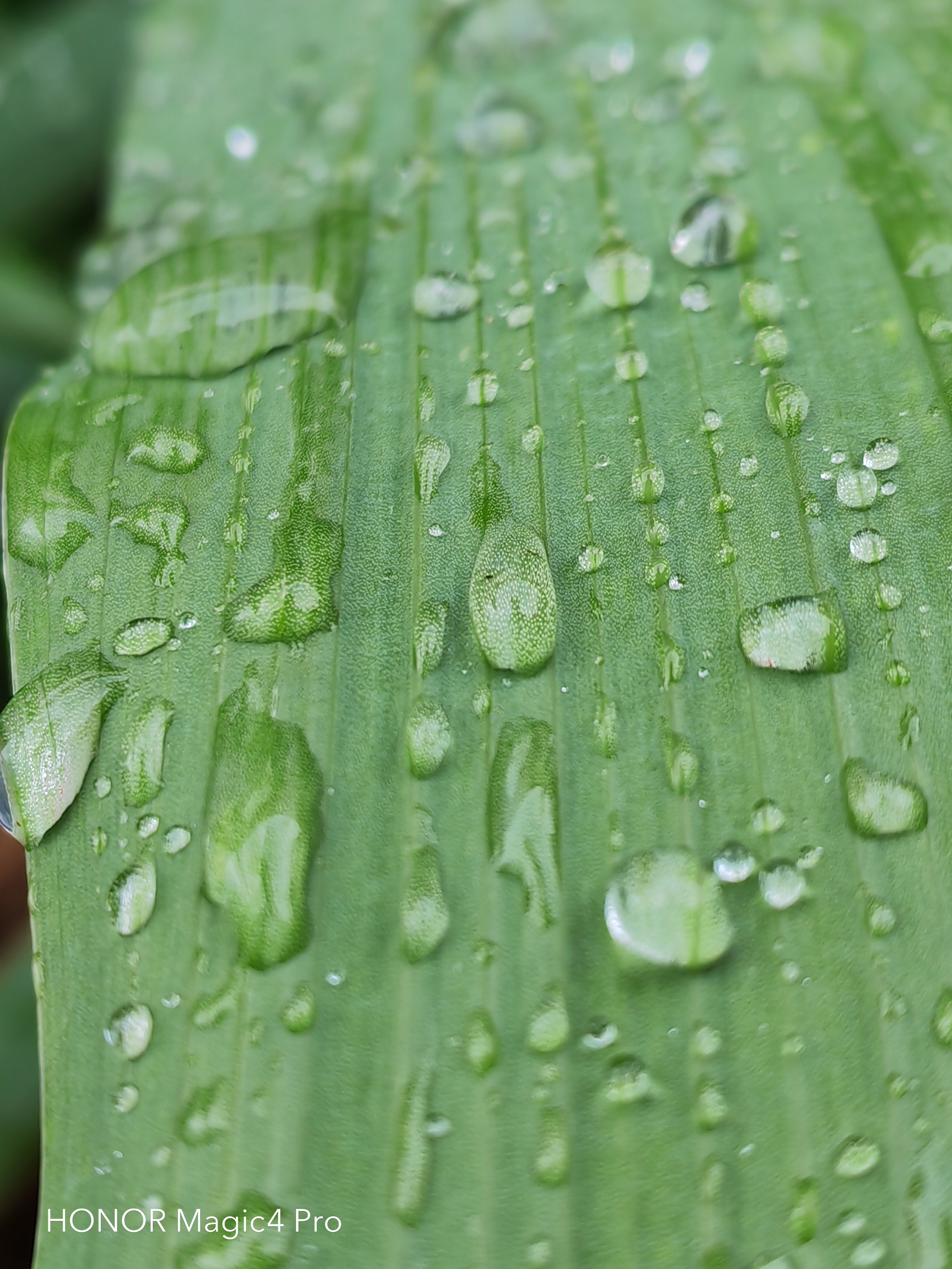 pspan-stylefont-size18pxHello-to-strongall-the-fansstrongbrbrLast