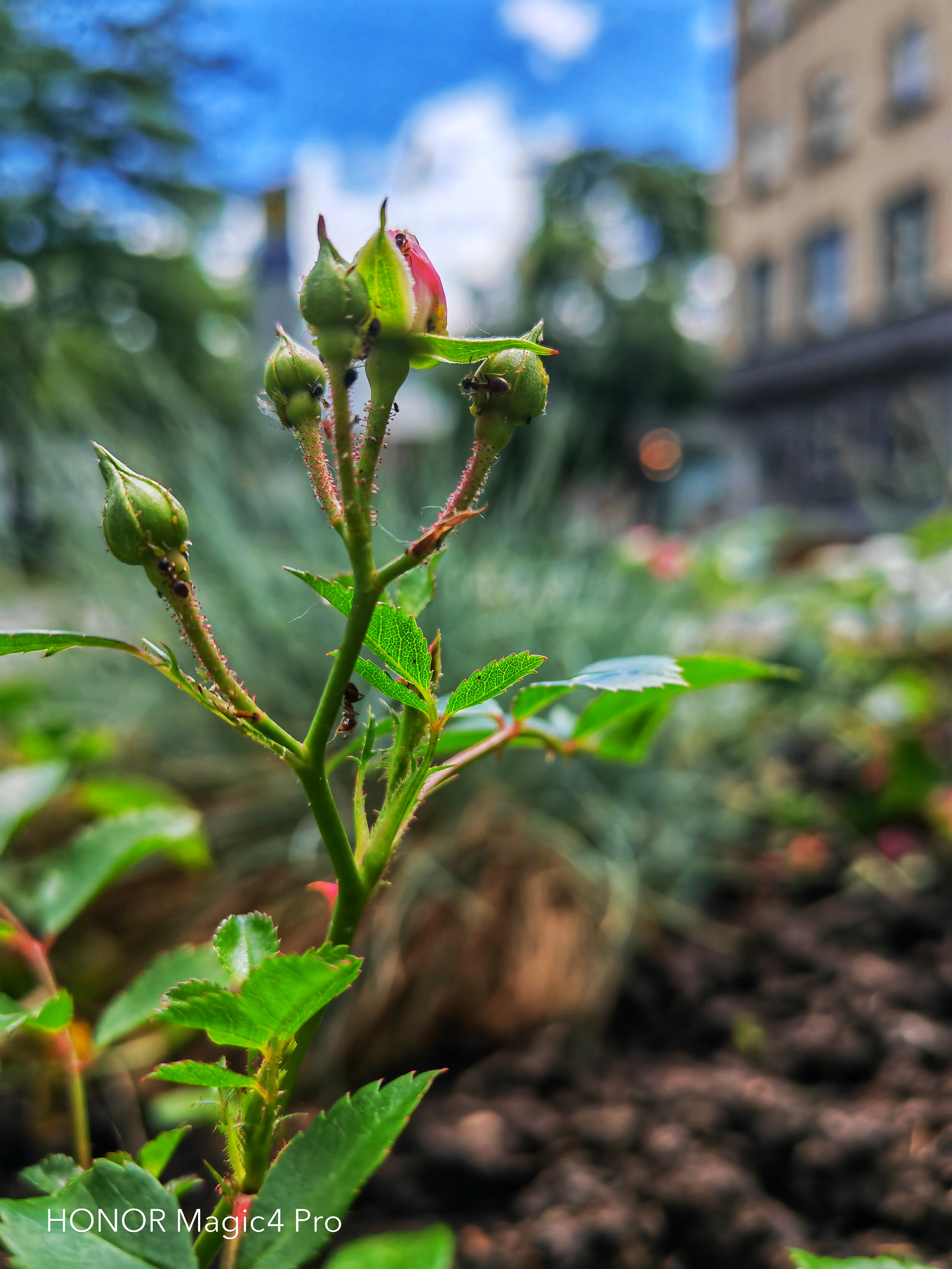 pspan-stylefont-size18pxHello-to-strongall-the-fansstrongbrbrLast