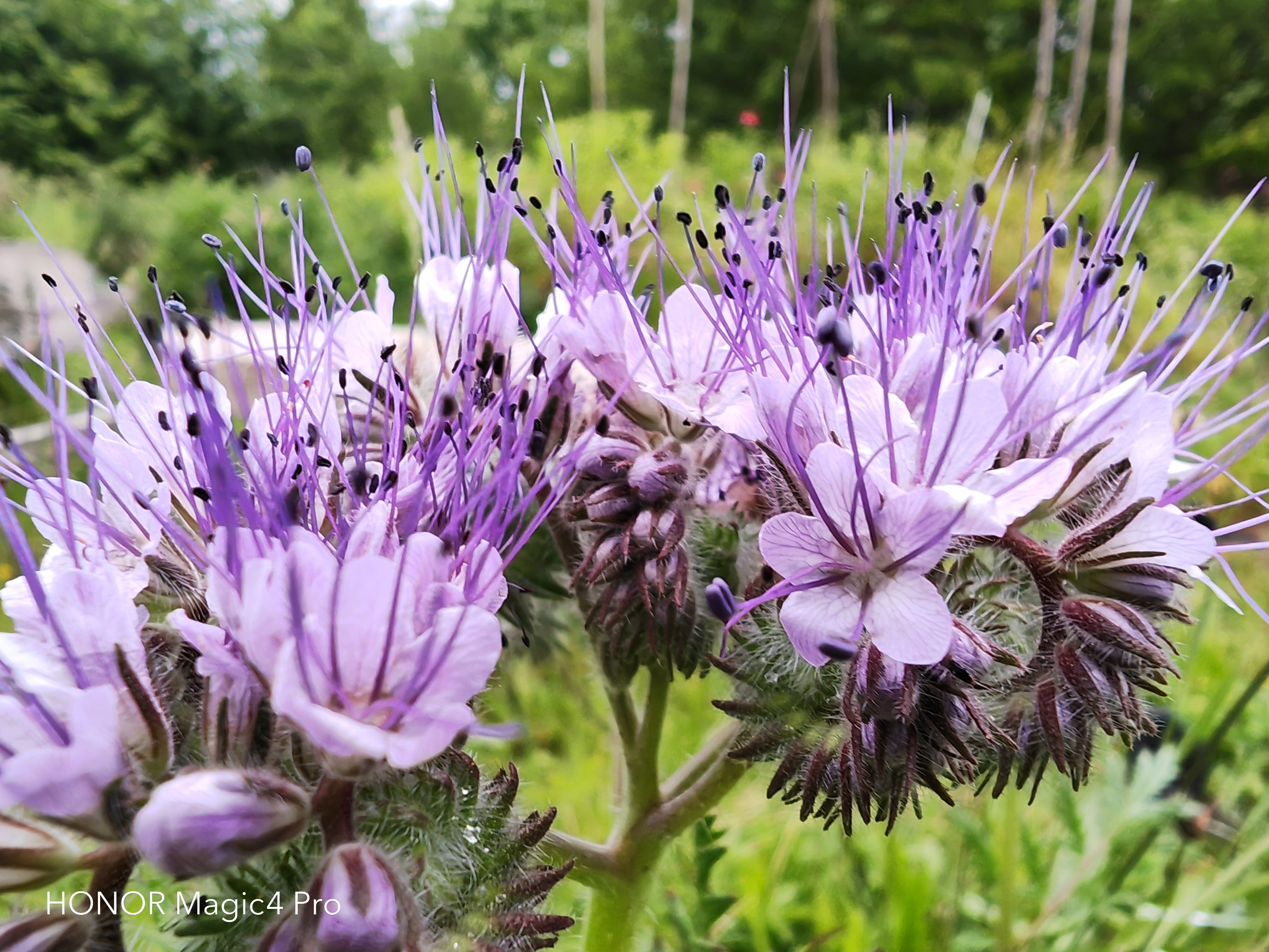 pspan-stylefont-size18pxHello-to-strongall-the-fansstrongbrbrLast