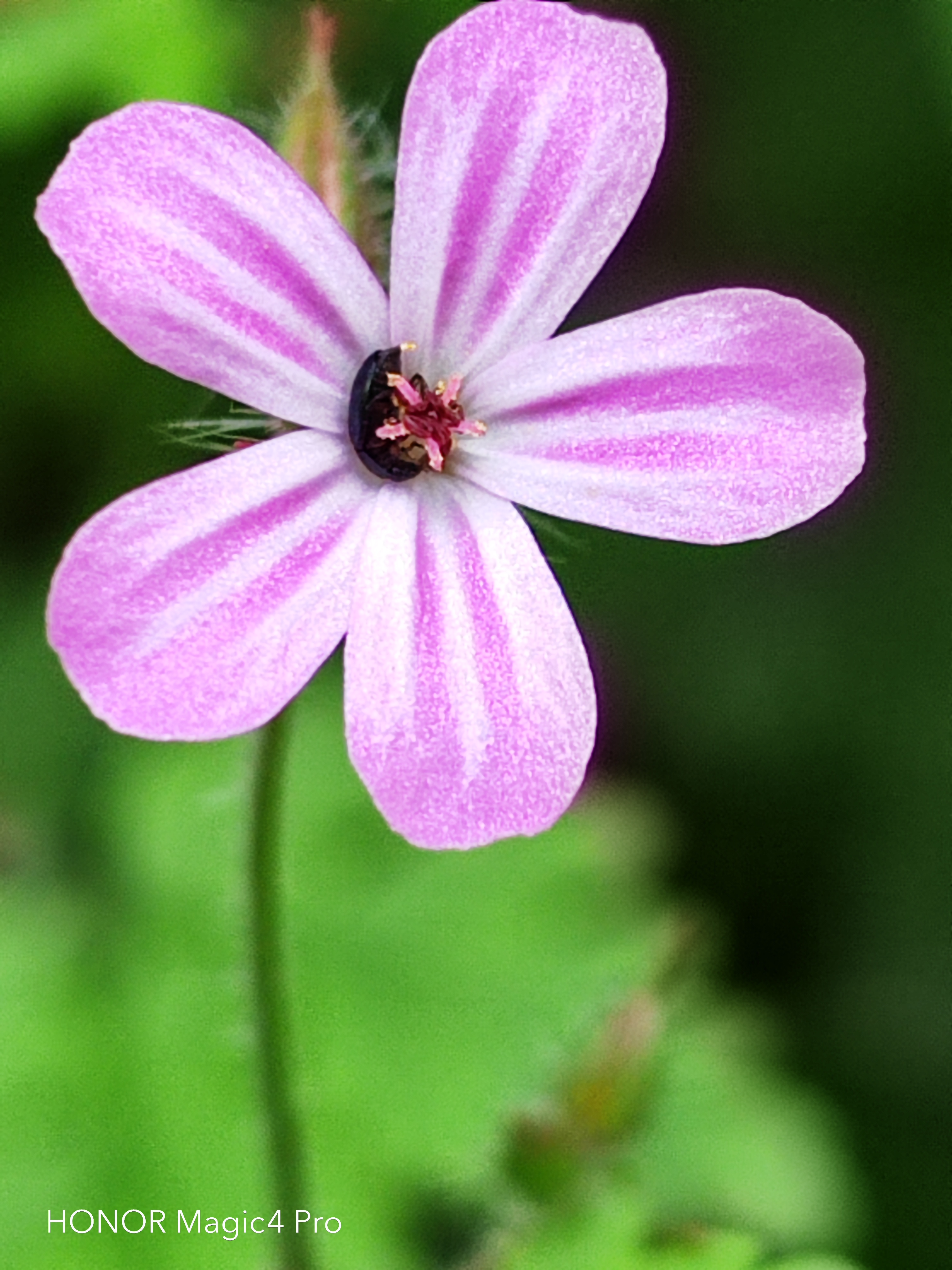 pspan-stylefont-size18pxHello-to-strongall-the-fansstrongbrbrLast