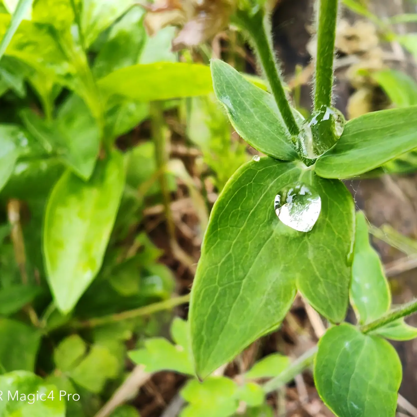 pspan-stylefont-size18pxHello-to-strongall-the-fansstrongbrbrLast