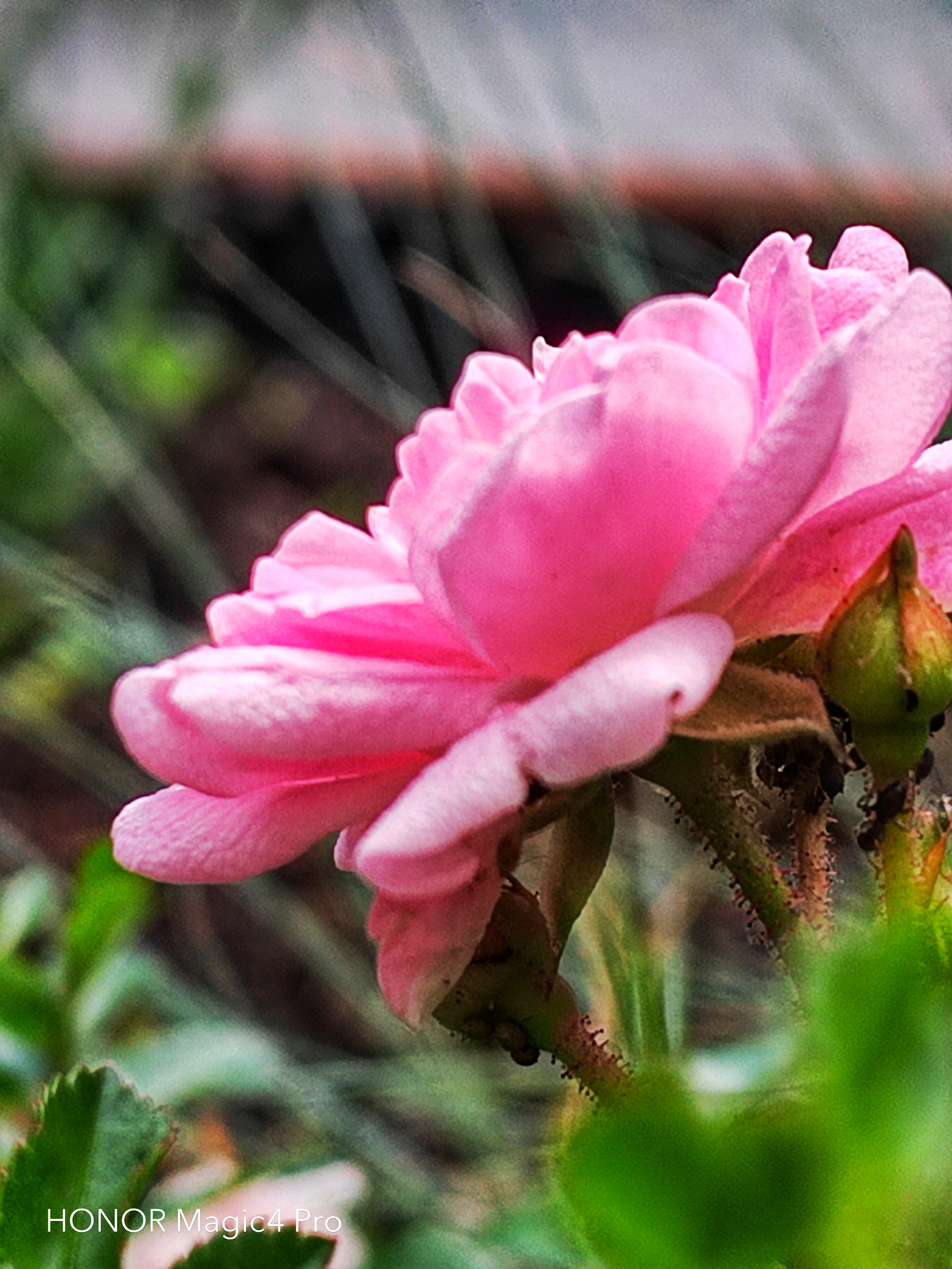 pspan-stylefont-size18pxHello-to-strongall-the-fansstrongbrbrLast