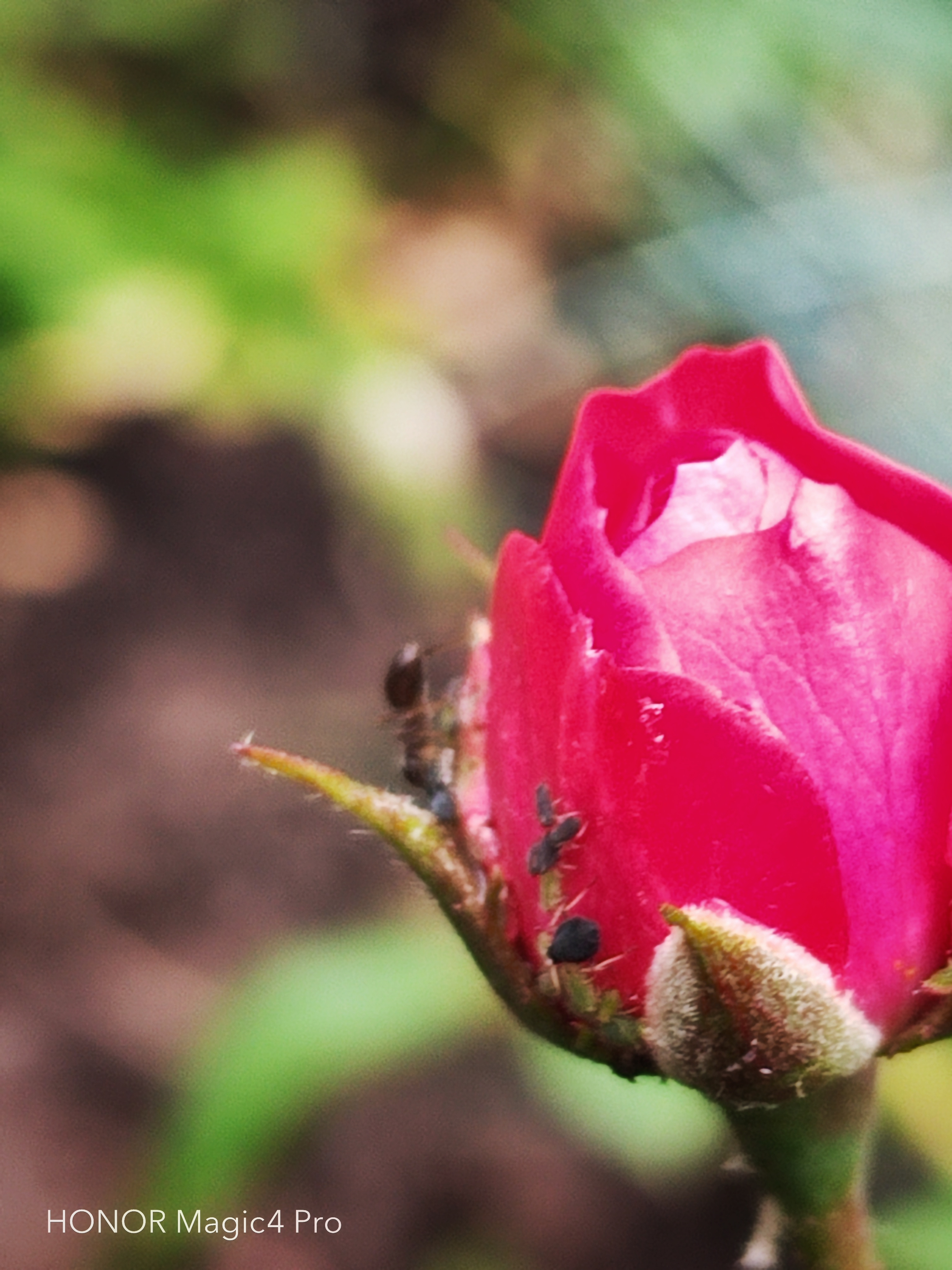 pspan-stylefont-size18pxHello-to-strongall-the-fansstrongbrbrLast