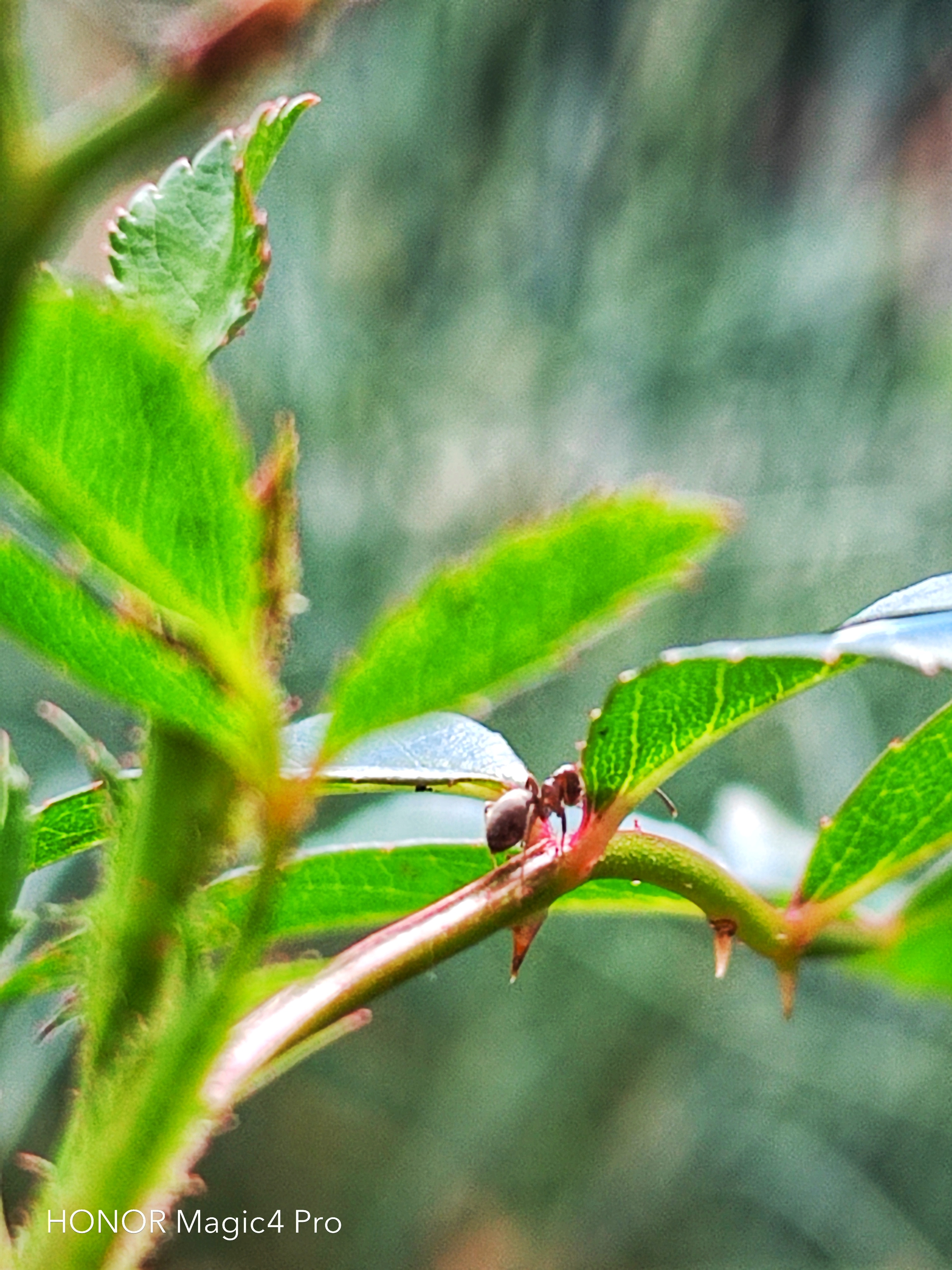 pspan-stylefont-size18pxHello-to-strongall-the-fansstrongbrbrLast