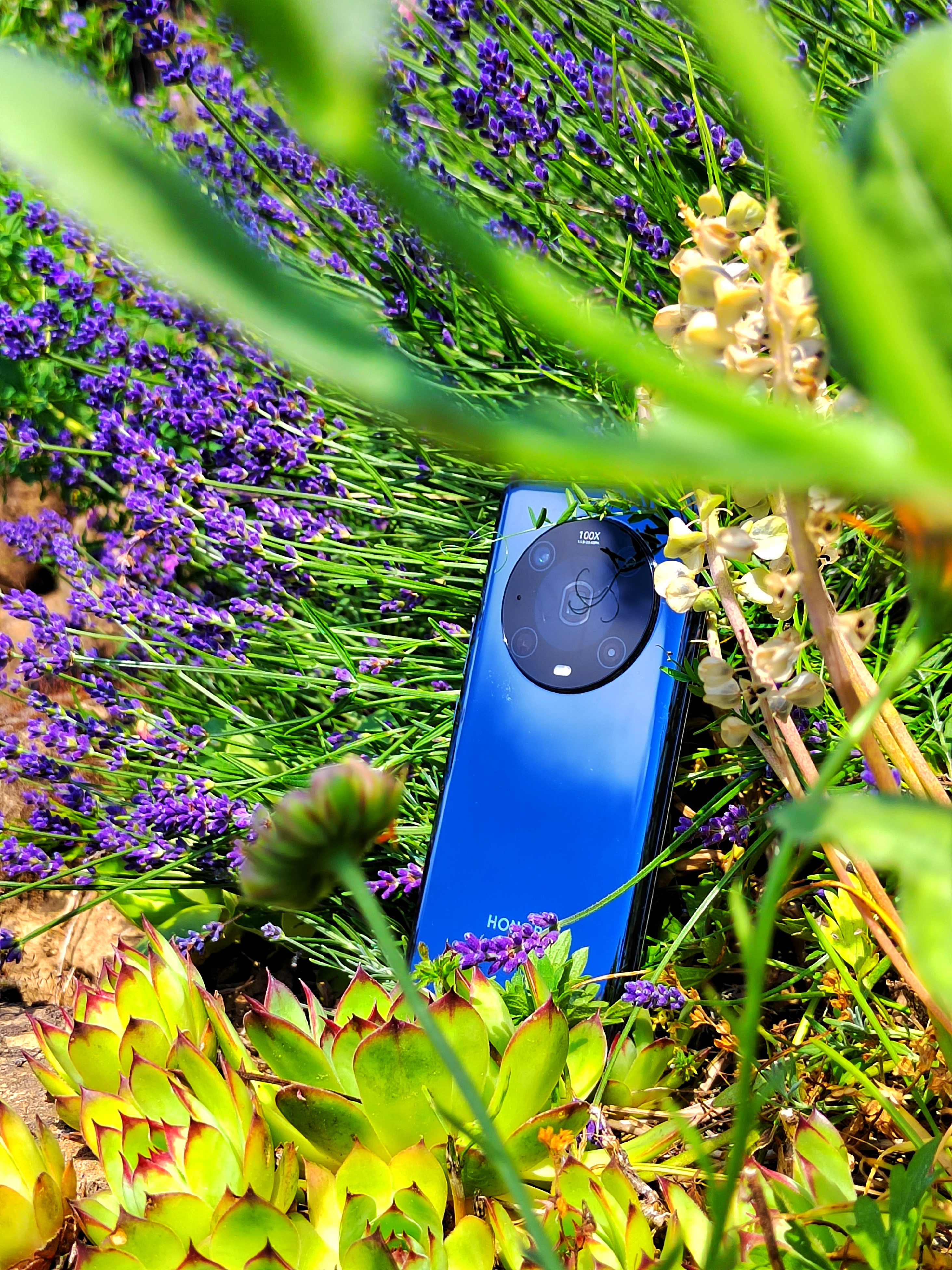 pspan-stylefont-size18pxHello-to-strongall-the-fansstrongbrbrLast