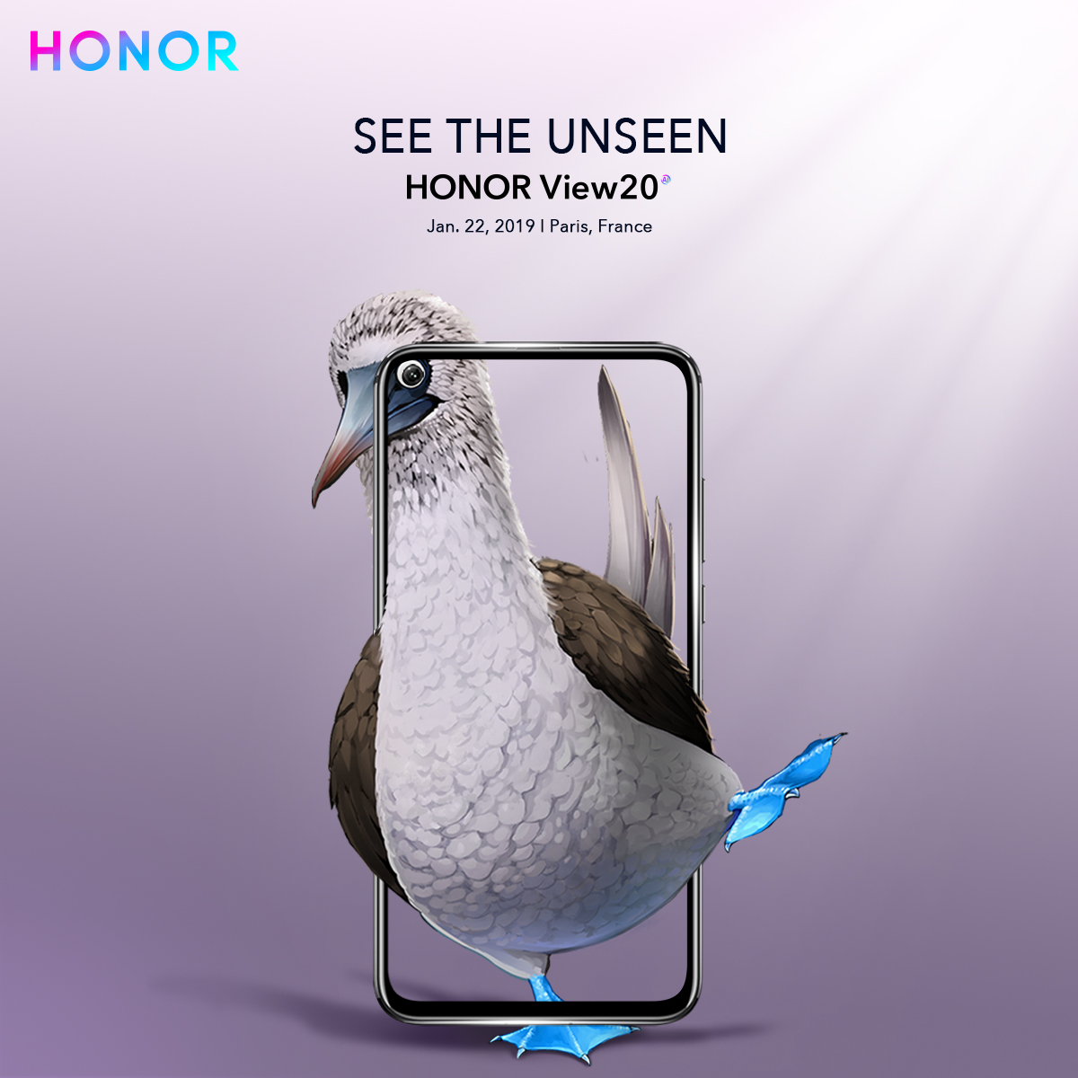 h1-classtext-title-styletext-align-center-color-rgb51-51-51span