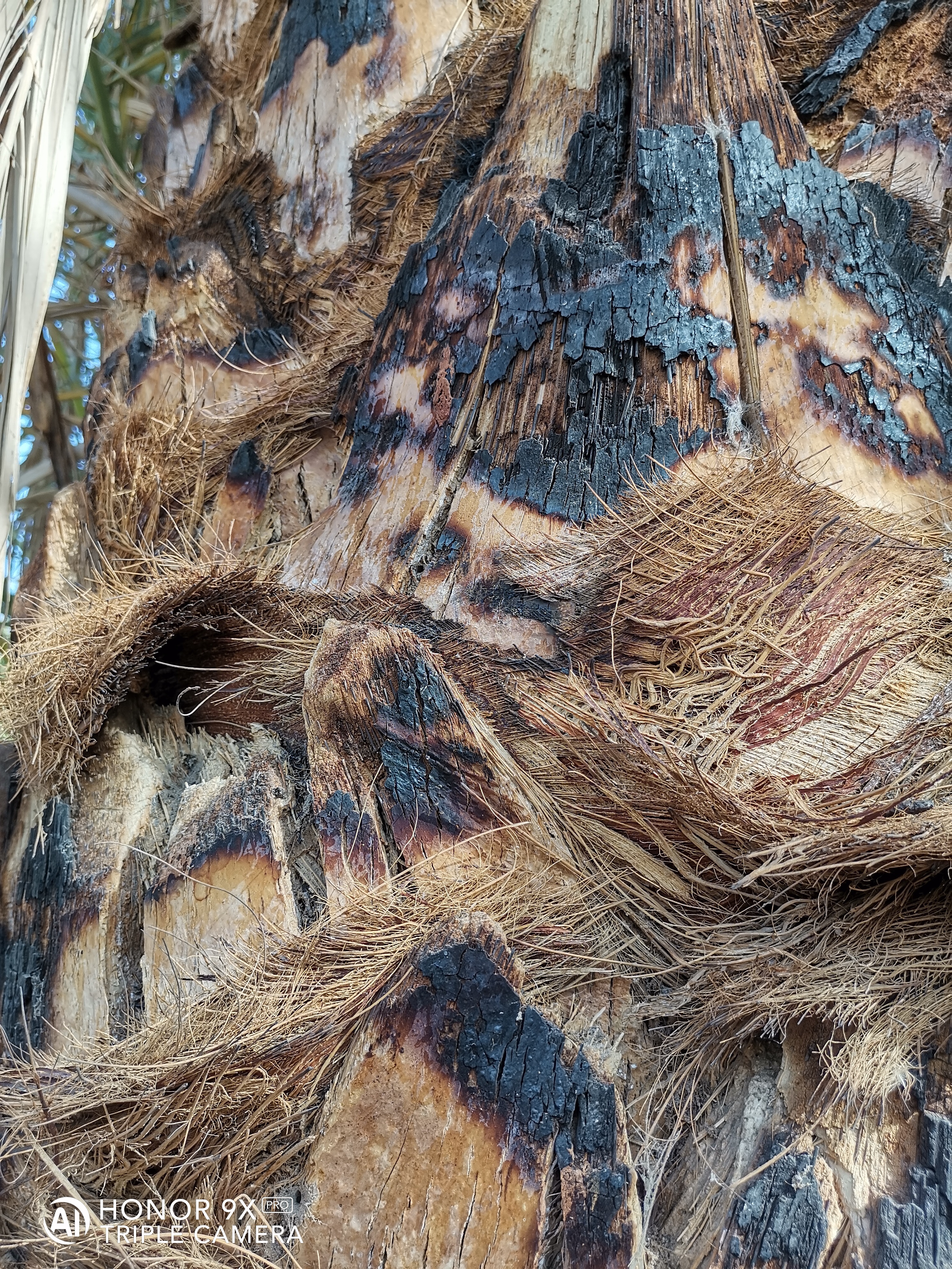 pstrongspan-stylefont-size18pxspanHi-Guysbrspanspanstrongppstrongspan