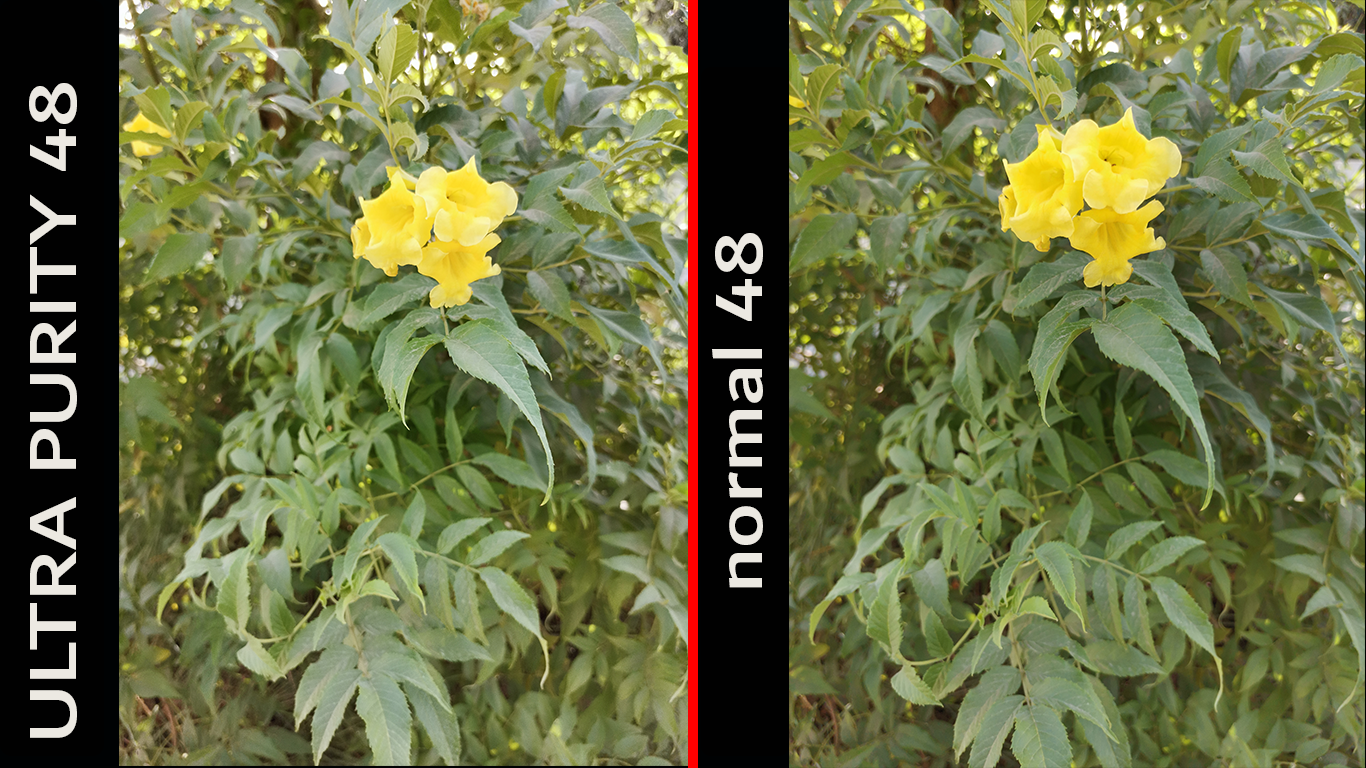 pstrongspan-stylefont-size18pxspanHi-Guysbrspanspanstrongppstrongspan