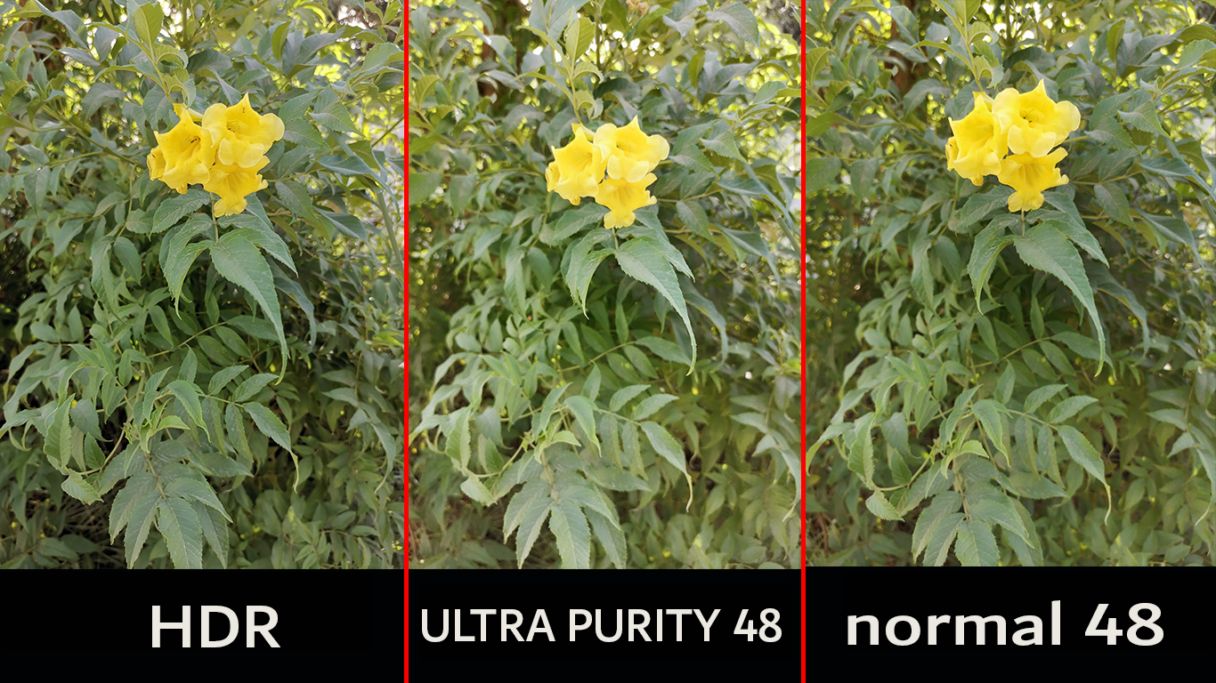 pstrongspan-stylefont-size18pxspanHi-Guysbrspanspanstrongppstrongspan