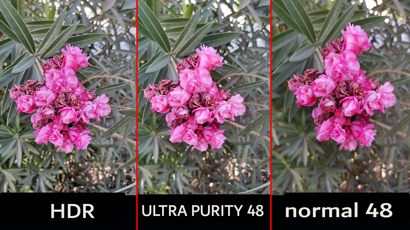 pstrongspan-stylefont-size18pxspanHi-Guysbrspanspanstrongppstrongspan