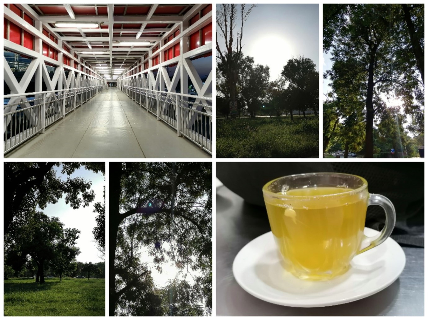 pspanstrongGreeting-Honor