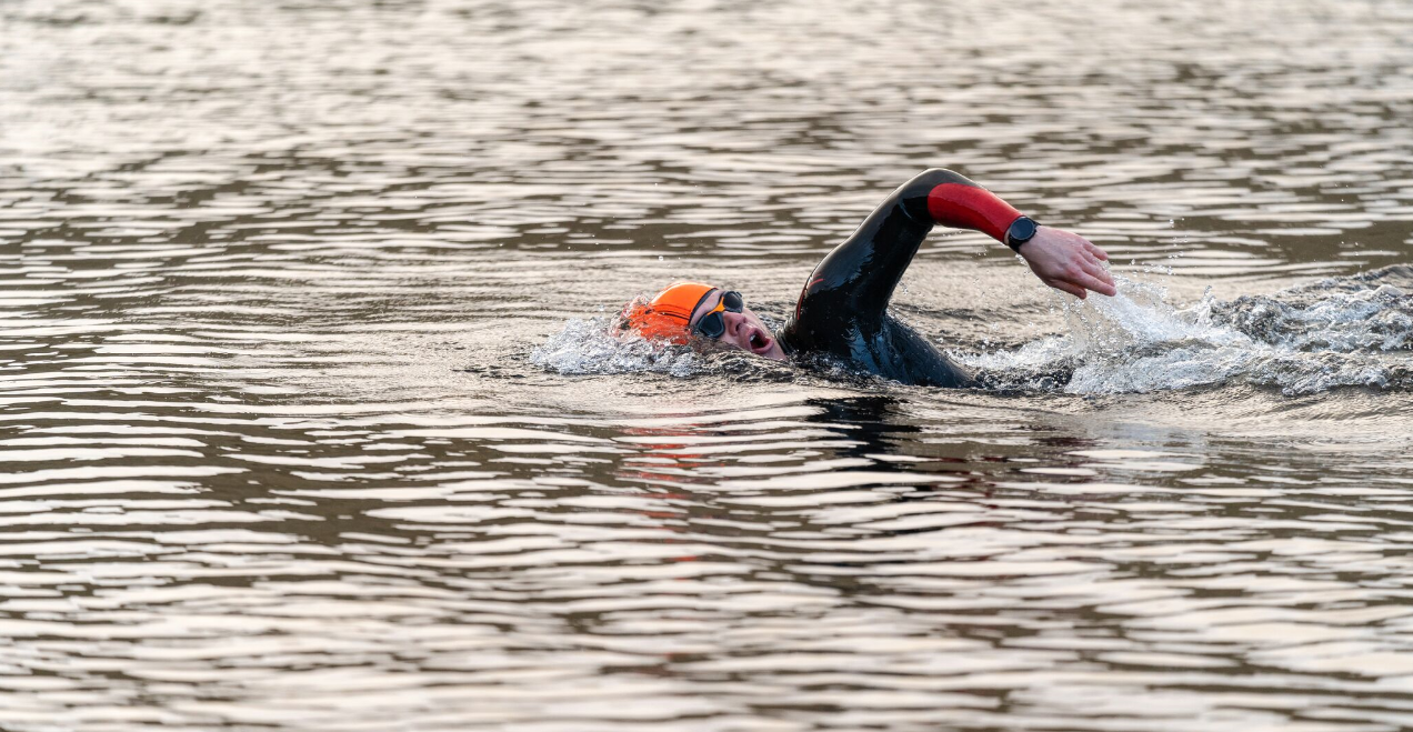 p-styletext-align-center-span-stylefont-size18pxstrong4-reasons-why