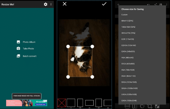 p-style-color-rgb10-10-10-font-size-22px-text-align-justifyأصبحت