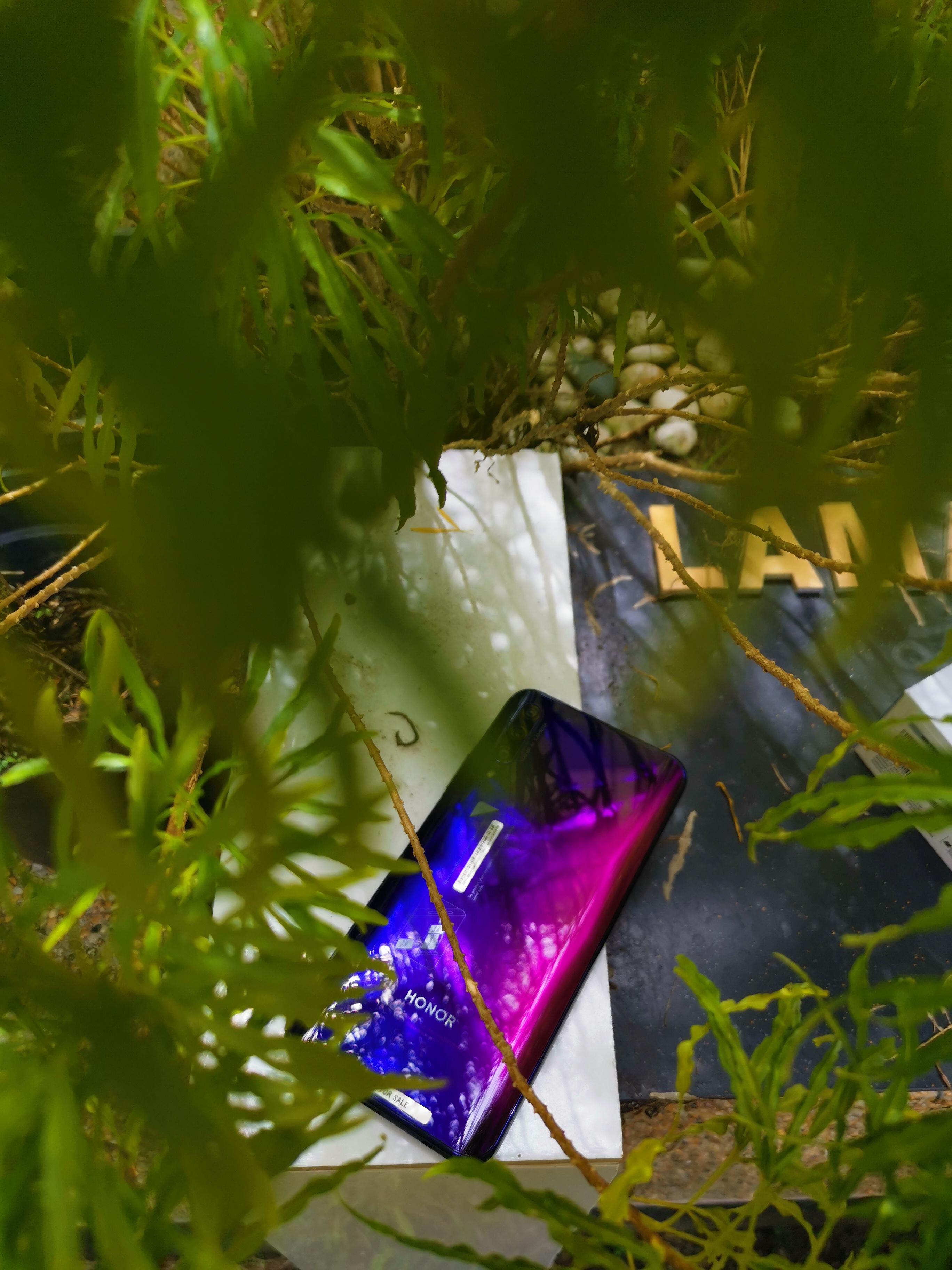 p-stylemargin-top-10px-margin-bottom-0px-width-697547px-font-family