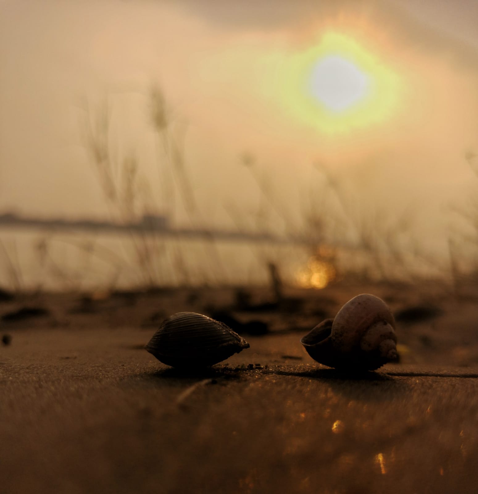 p-styletext-align-center-span-stylefont-size-16pxHey-Guysspanbrpp