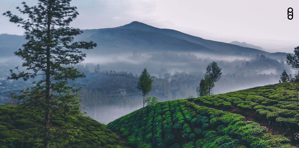 pspanI-have-explored-the-capabilities-of-the-HONOR-9N-camera-and-I