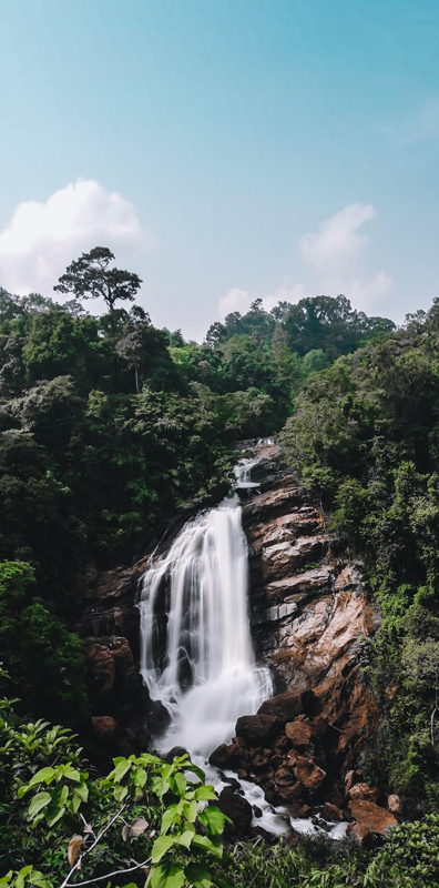 pspanI-have-explored-the-capabilities-of-the-HONOR-9N-camera-and-I