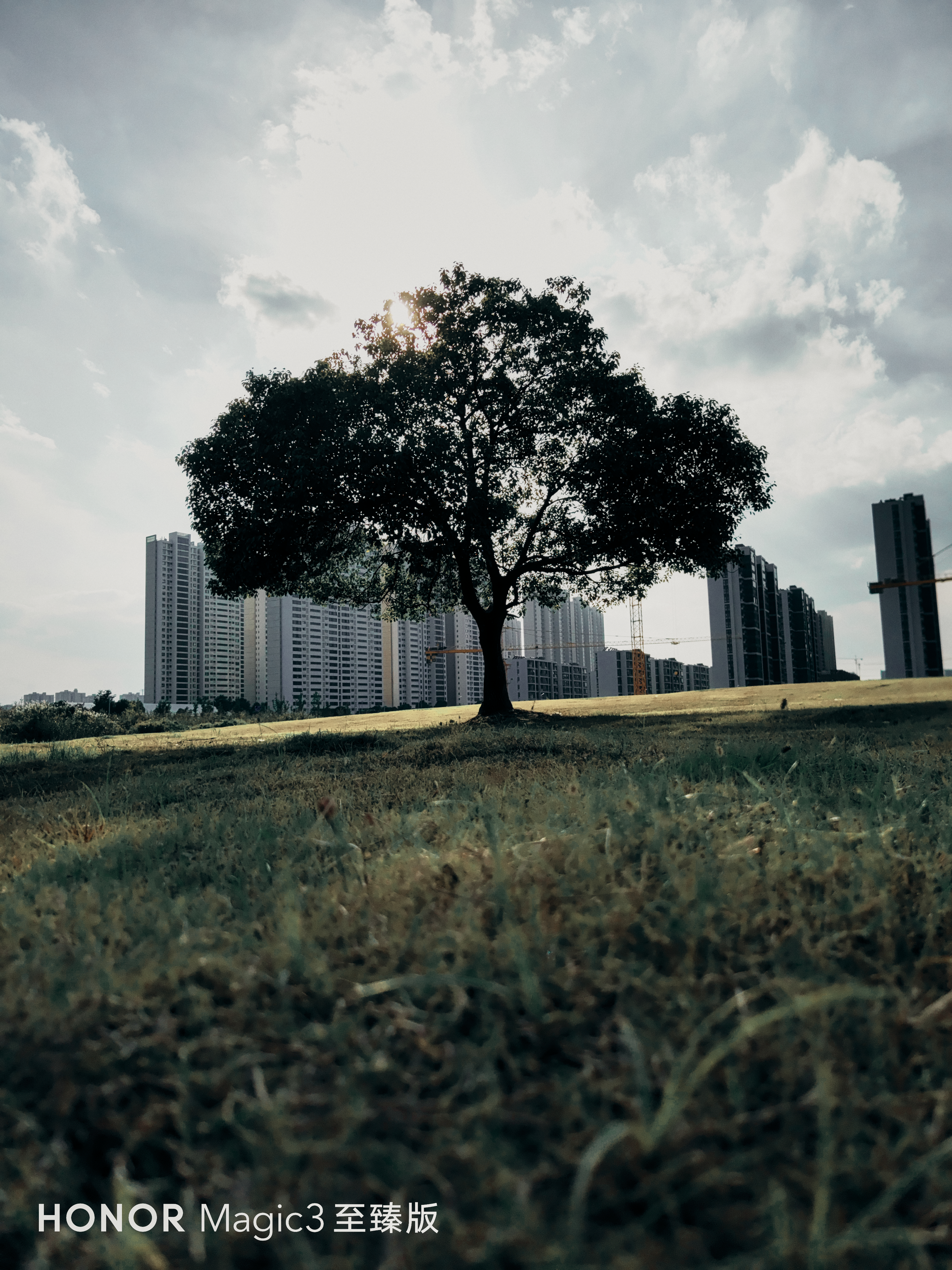 p-styletext-align-center-span-stylefont-size18pxall-photos-by