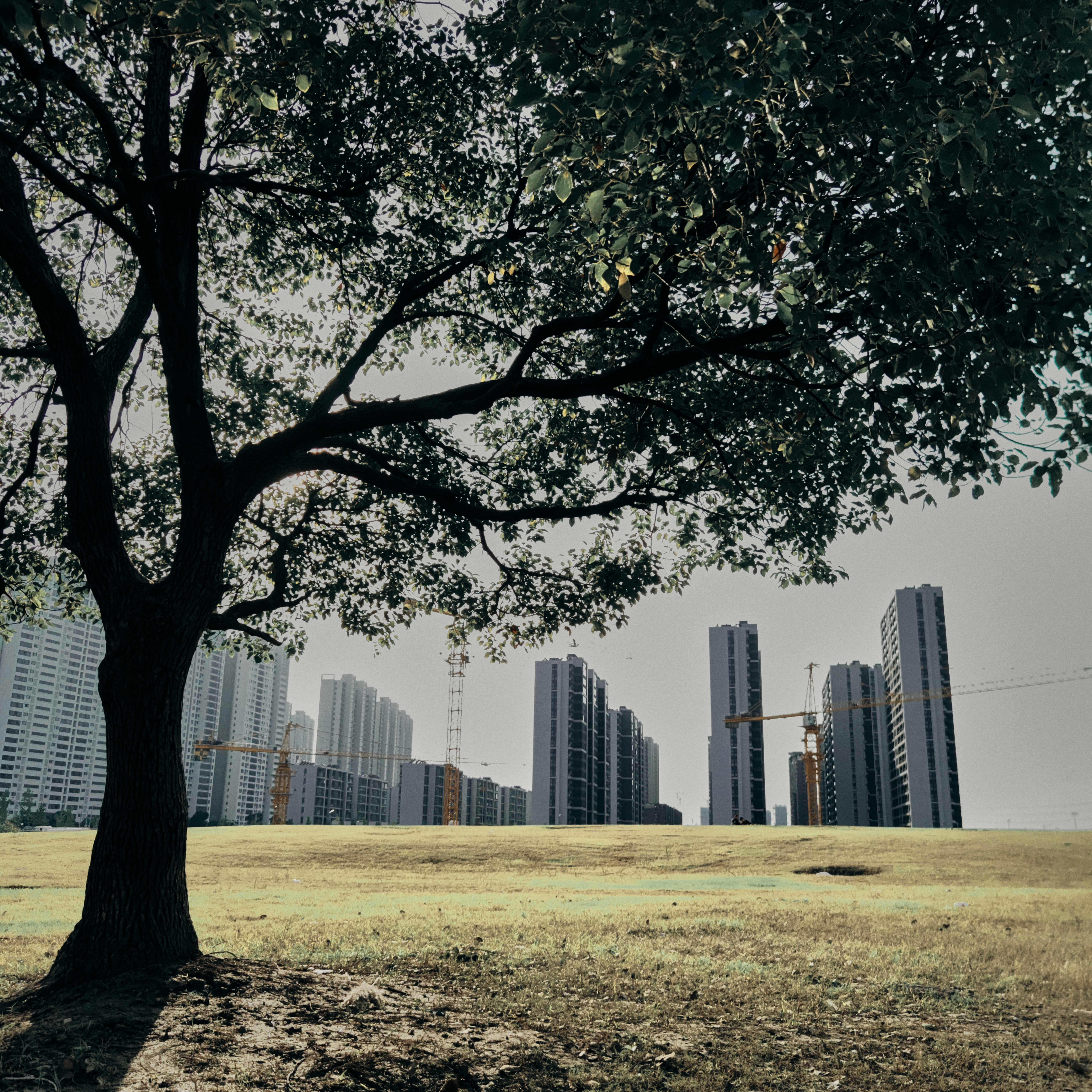 p-styletext-align-center-span-stylefont-size18pxall-photos-by