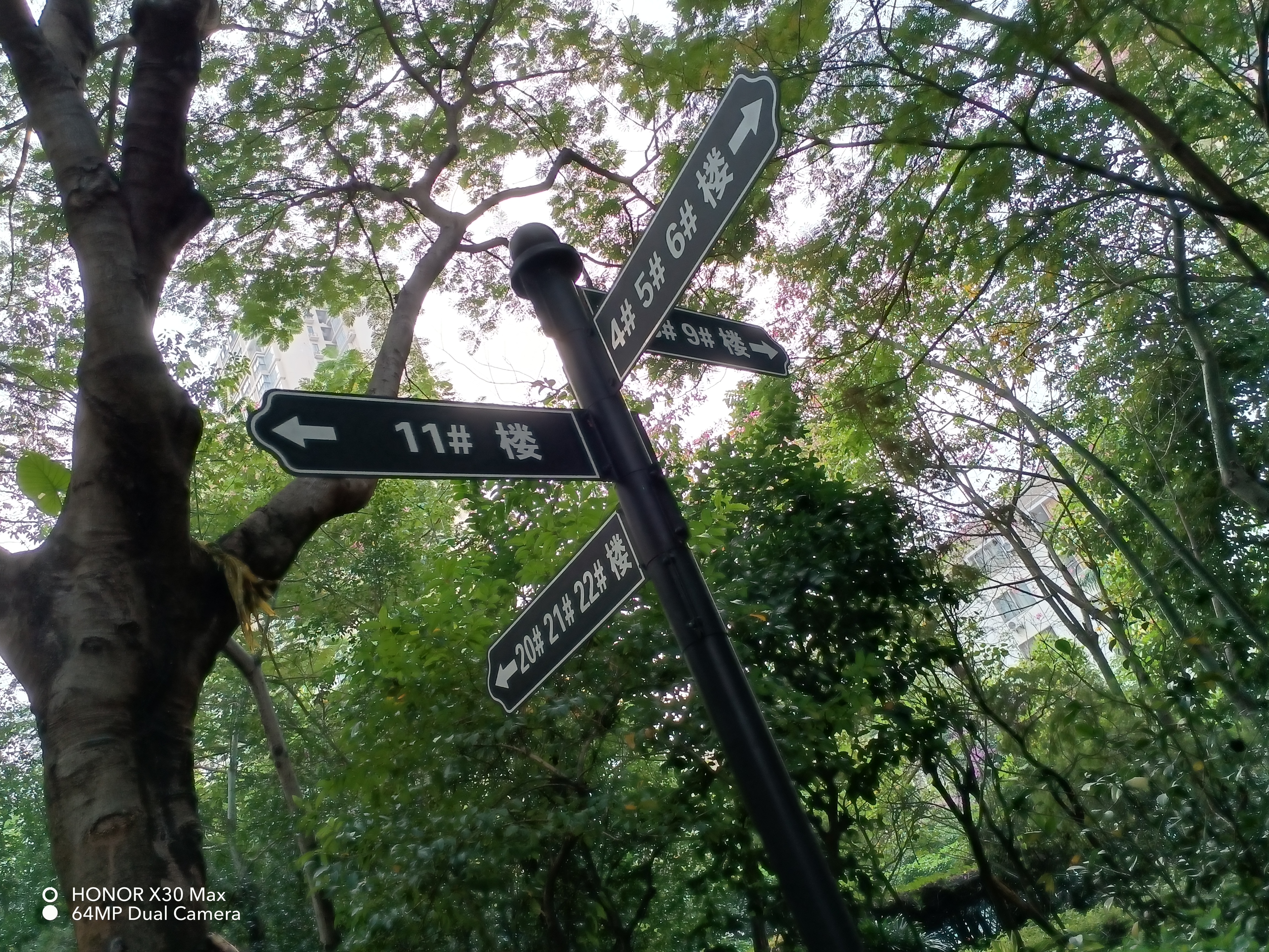 pspan-stylefont-size18pxFrom-Honors-weibo-account-I-found-the-first