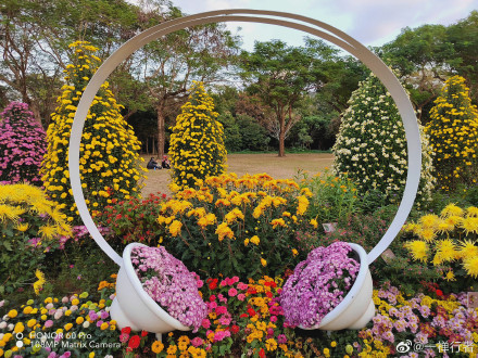 pHippbrppToday-I-found-some-macro-shots-made-by-the-Honor-60-Pro