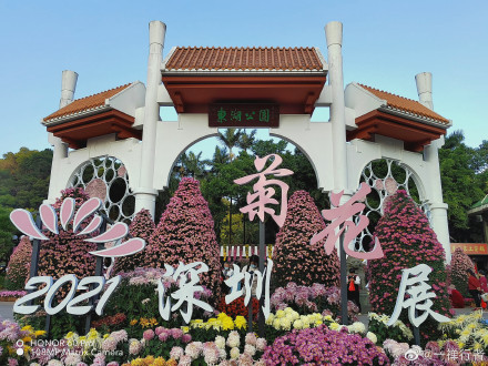 pHippbrppToday-I-found-some-macro-shots-made-by-the-Honor-60-Pro