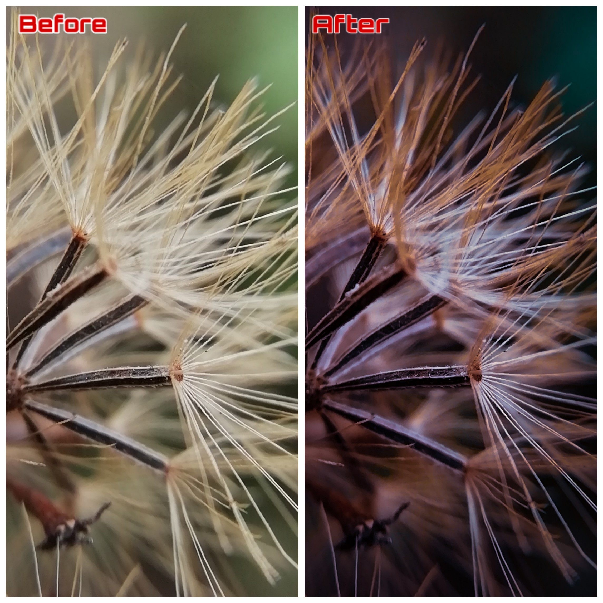 pspanNow-the-first-thing-you-need-to-do-is-enable-the-Histogram-It-is