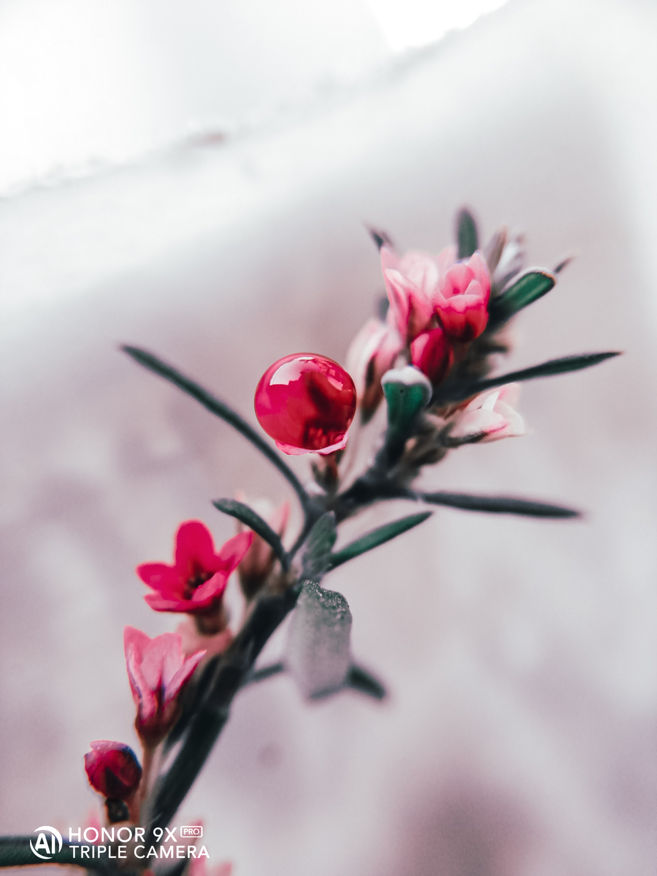 pstrongHey-FolksstrongppI-hope-you-guys-are-cherished-and