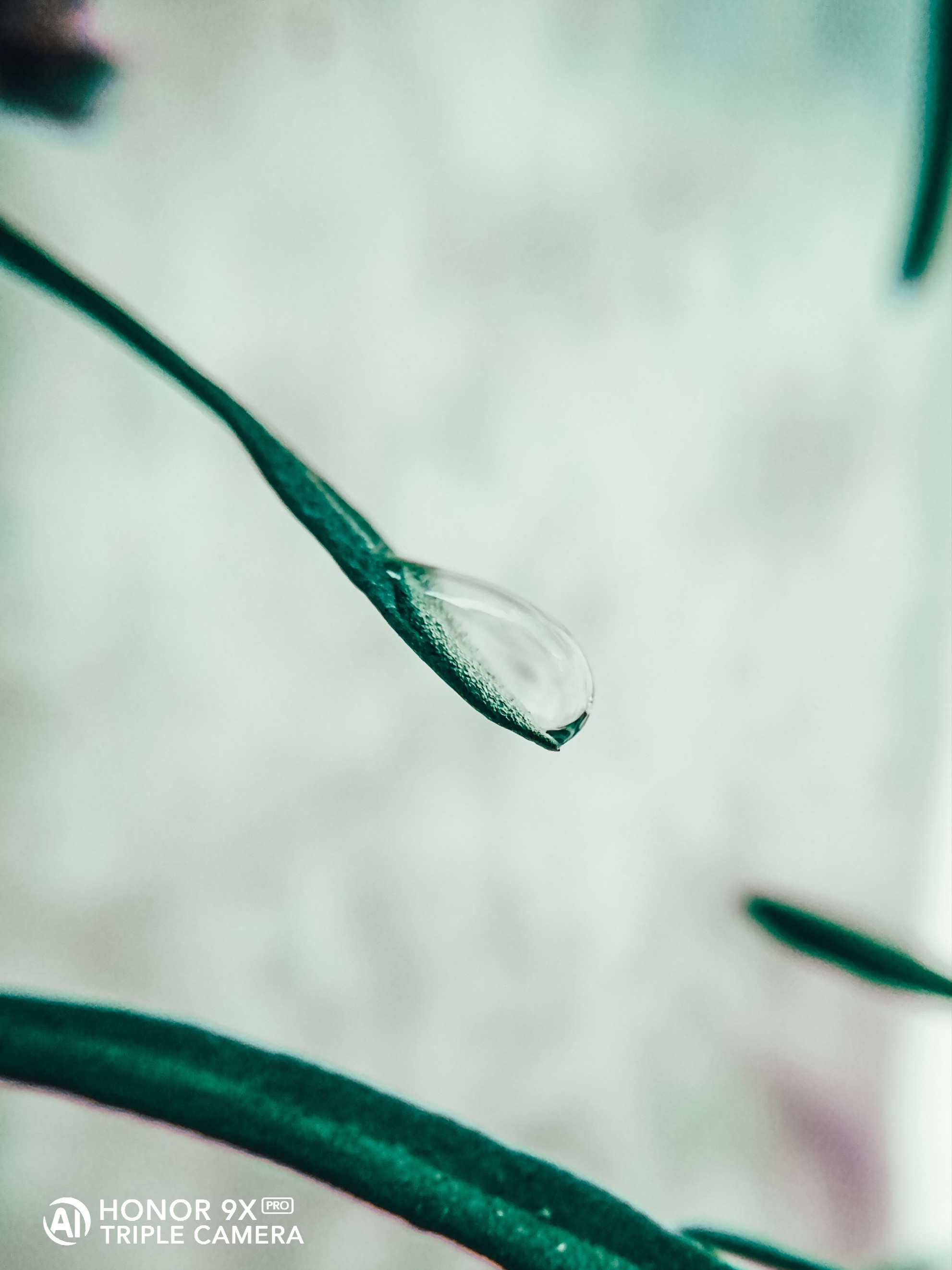 pstrongHey-FolksstrongppI-hope-you-guys-are-cherished-and