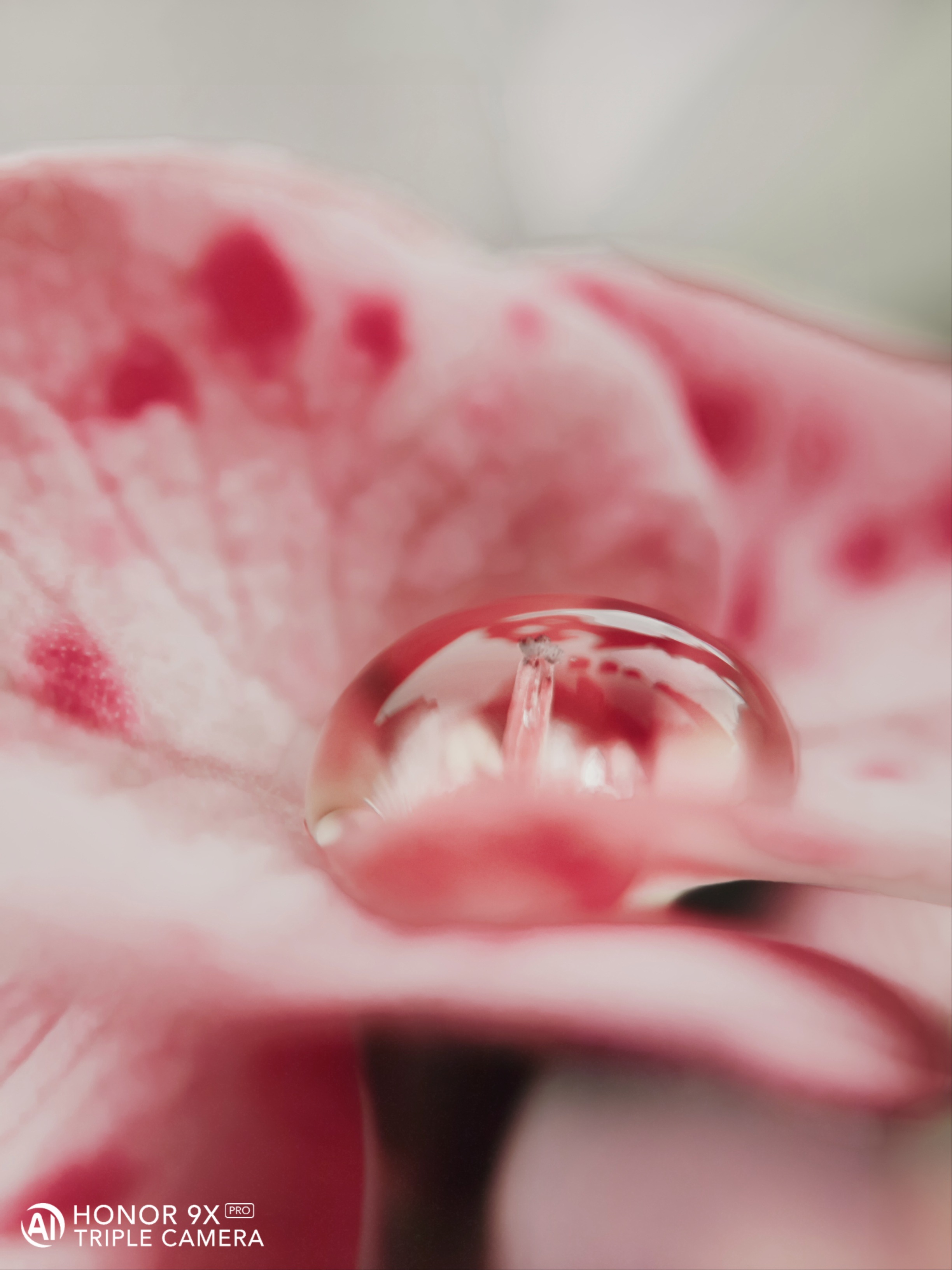 pstrongHey-FolksstrongppI-hope-you-guys-are-cherished-and