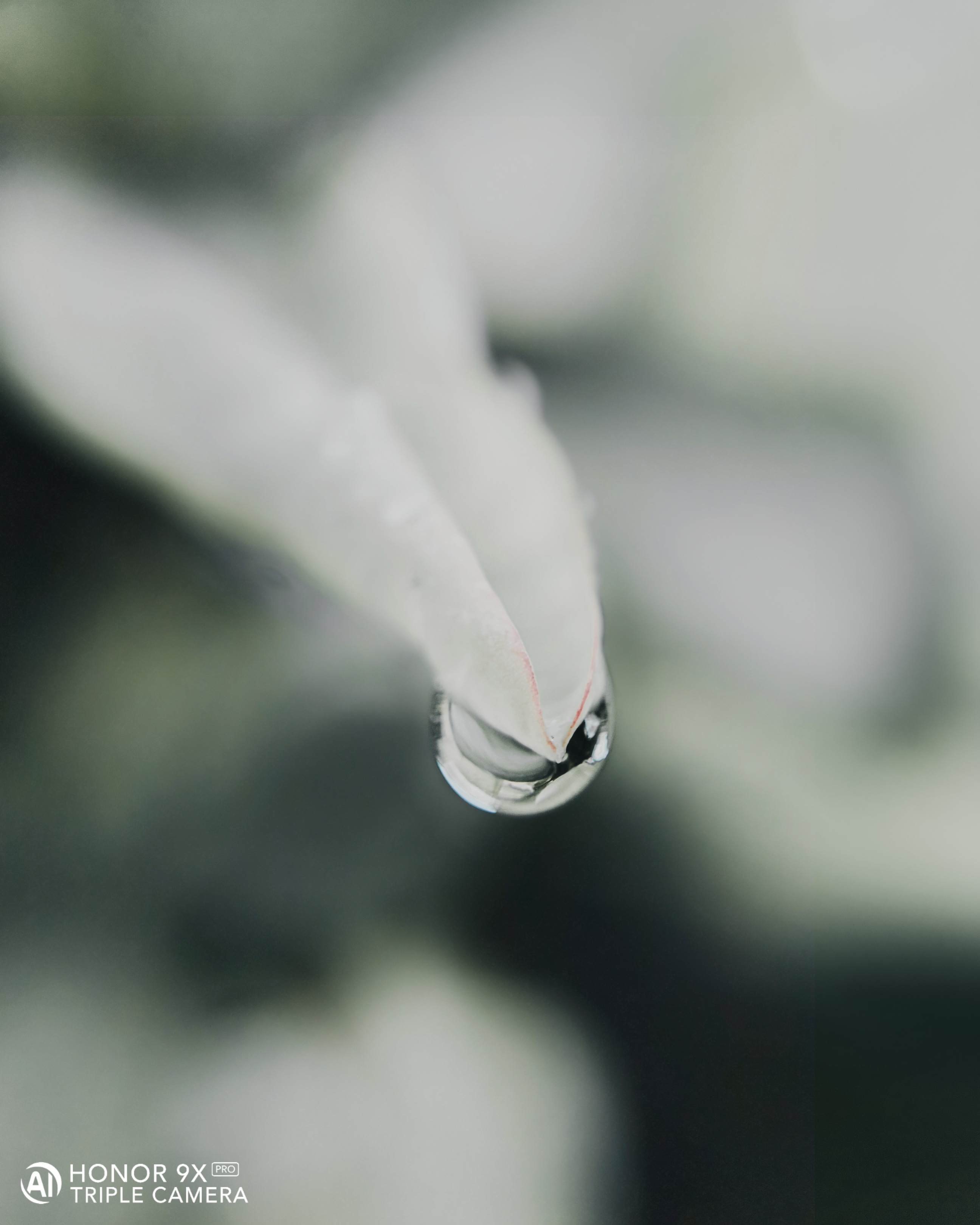 pstrongHey-FolksstrongppI-hope-you-guys-are-cherished-and