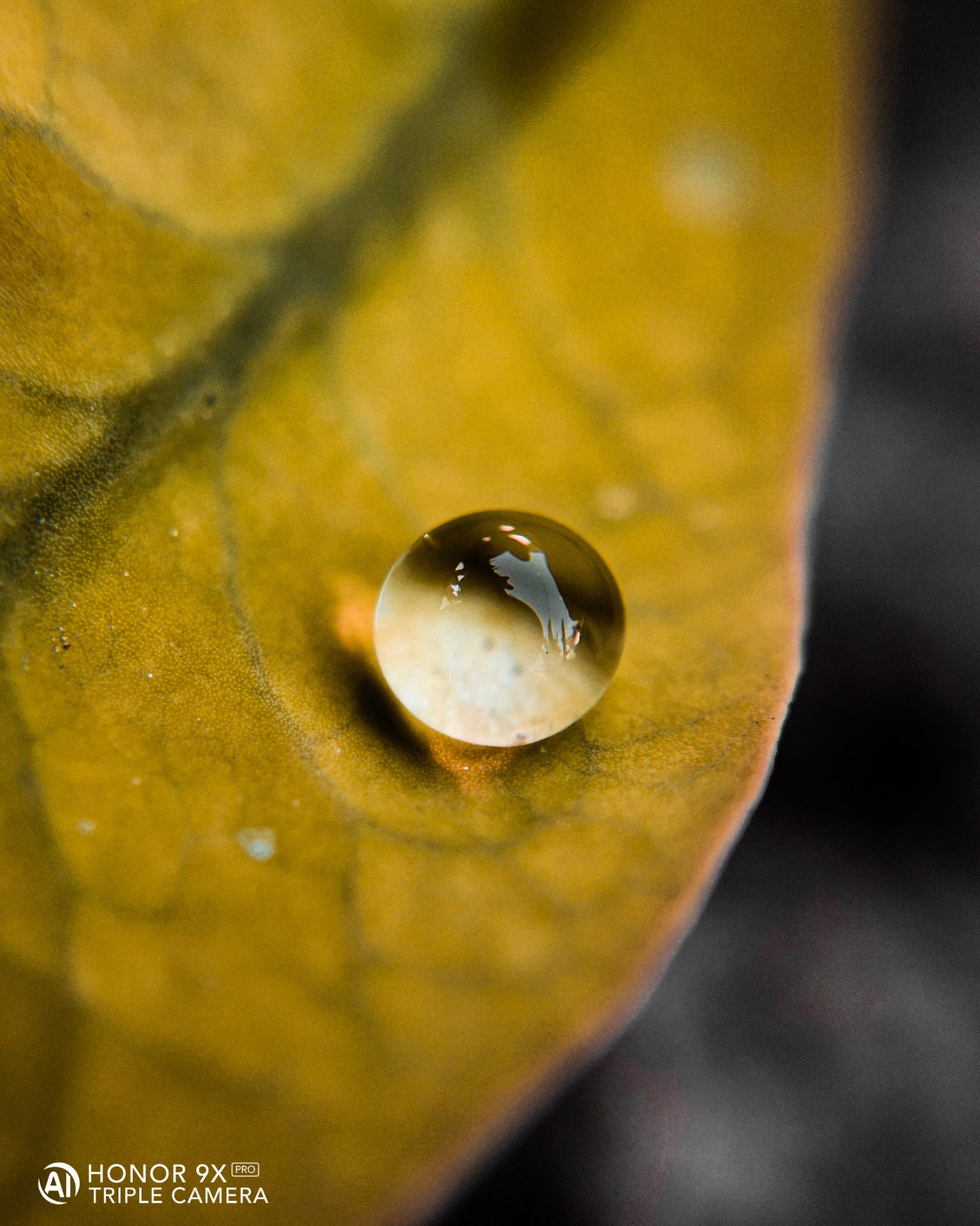 pstrongHey-FolksstrongppI-hope-you-guys-are-cherished-and