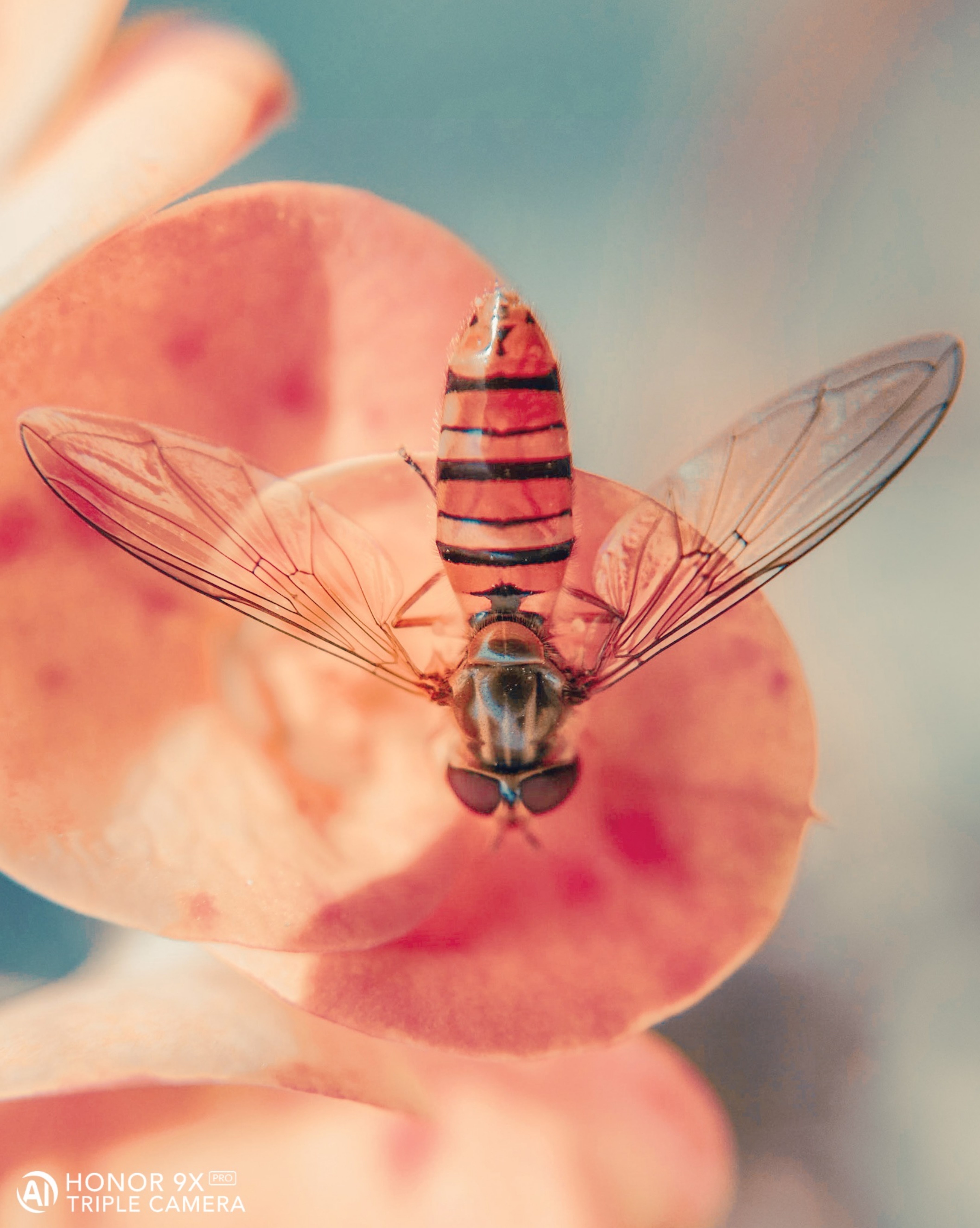 pstrongHey-FolksstrongppI-hope-you-guys-are-cherished-and