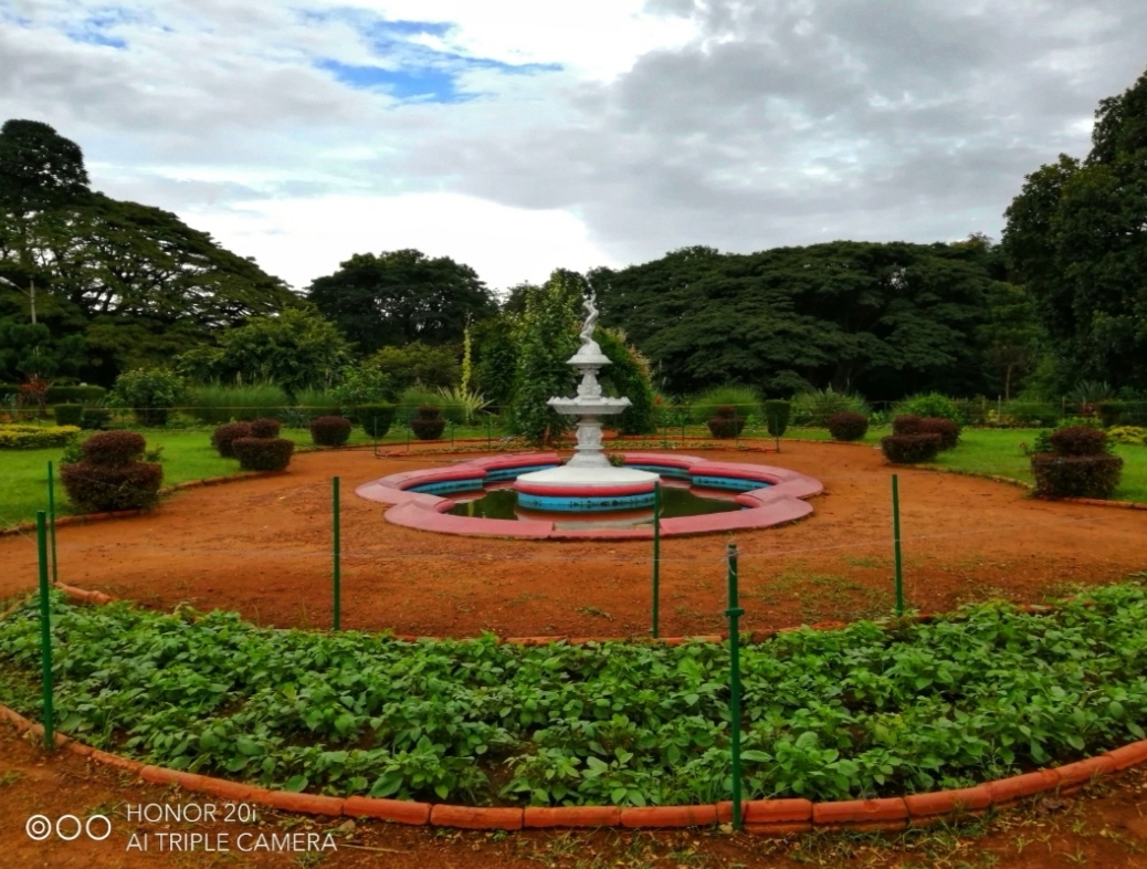 pimg-srchttpsiforum-sgchihonorcomglobalglobaldataimages202171551af4ef