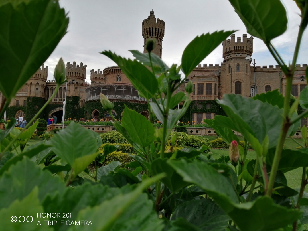 pimg-srchttpsiforum-sgchihonorcomglobalglobaldataimages202171551af4ef