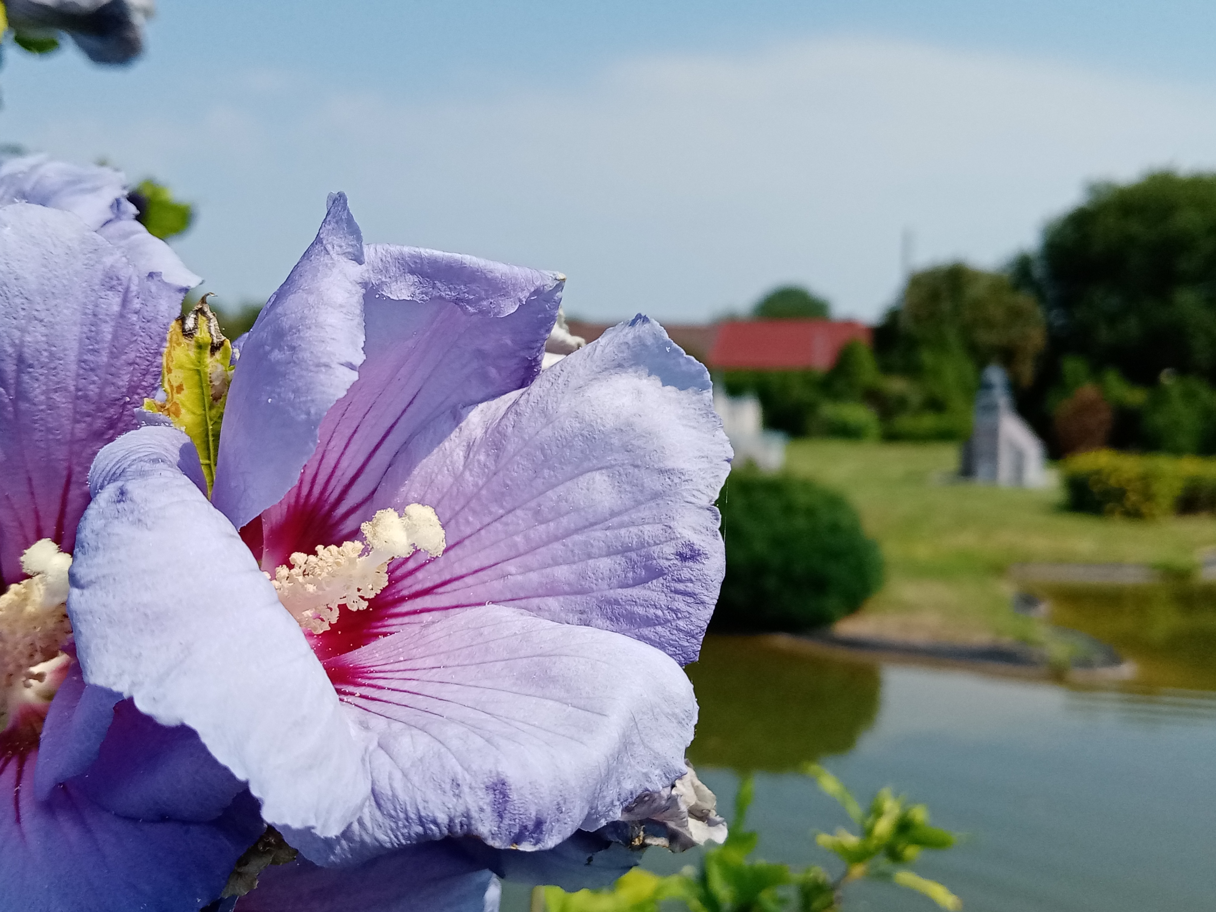 p-styletext-align-centerstrongHi-therenbspstrongpp-styletext-align